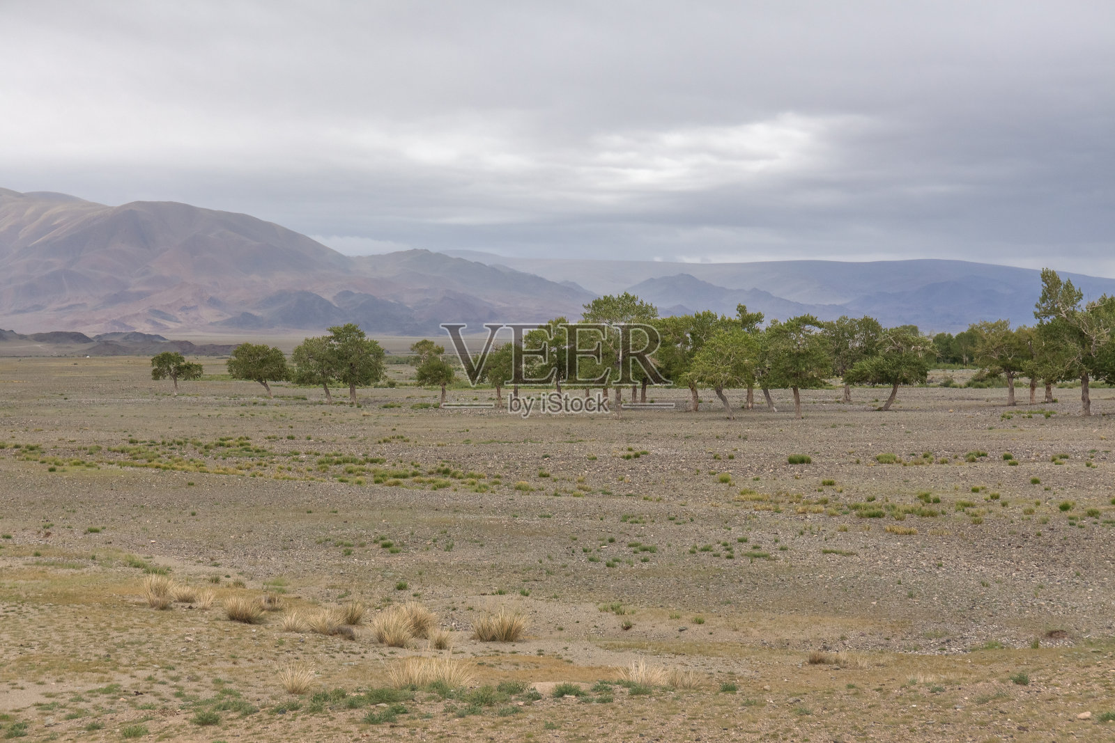 阿尔泰塔万博格国家公园，巴亚尔乌尔基，蒙古。照片摄影图片