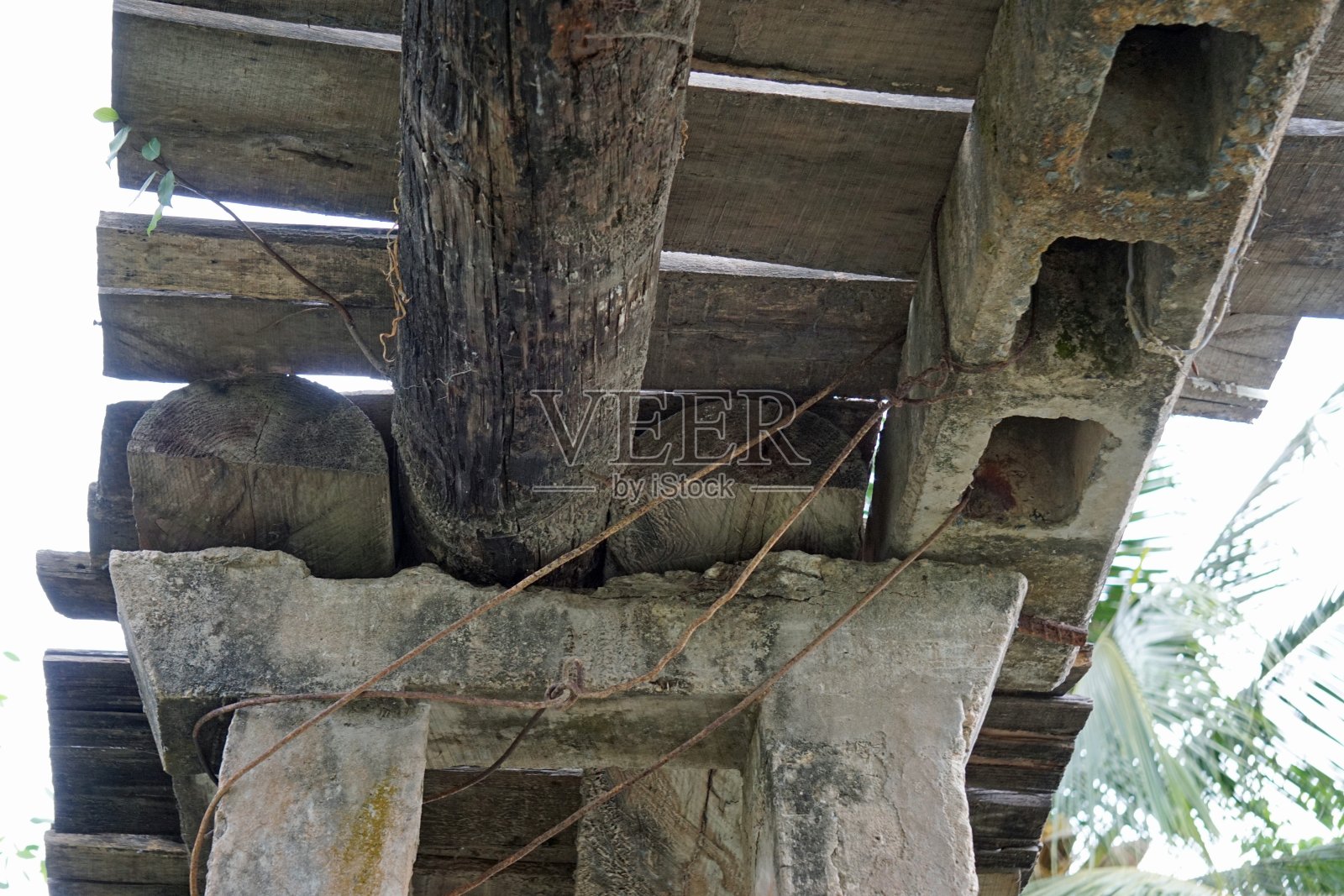 亚洲照片摄影图片