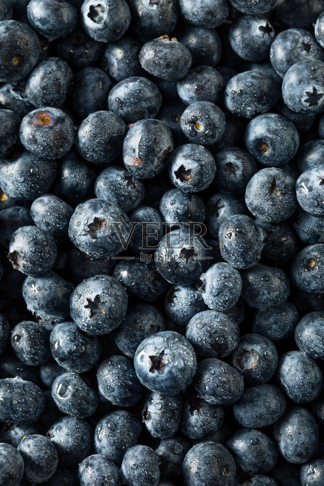 有机蓝莓照片摄影图片