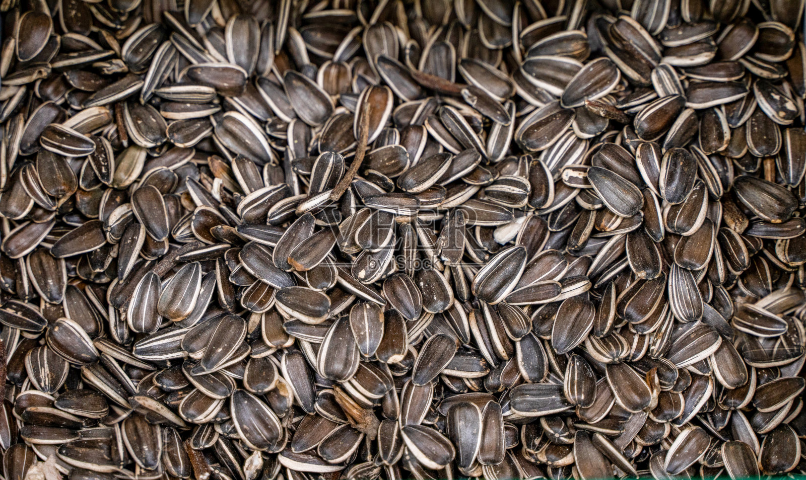 黑色葵花籽，方形有机背景照片摄影图片