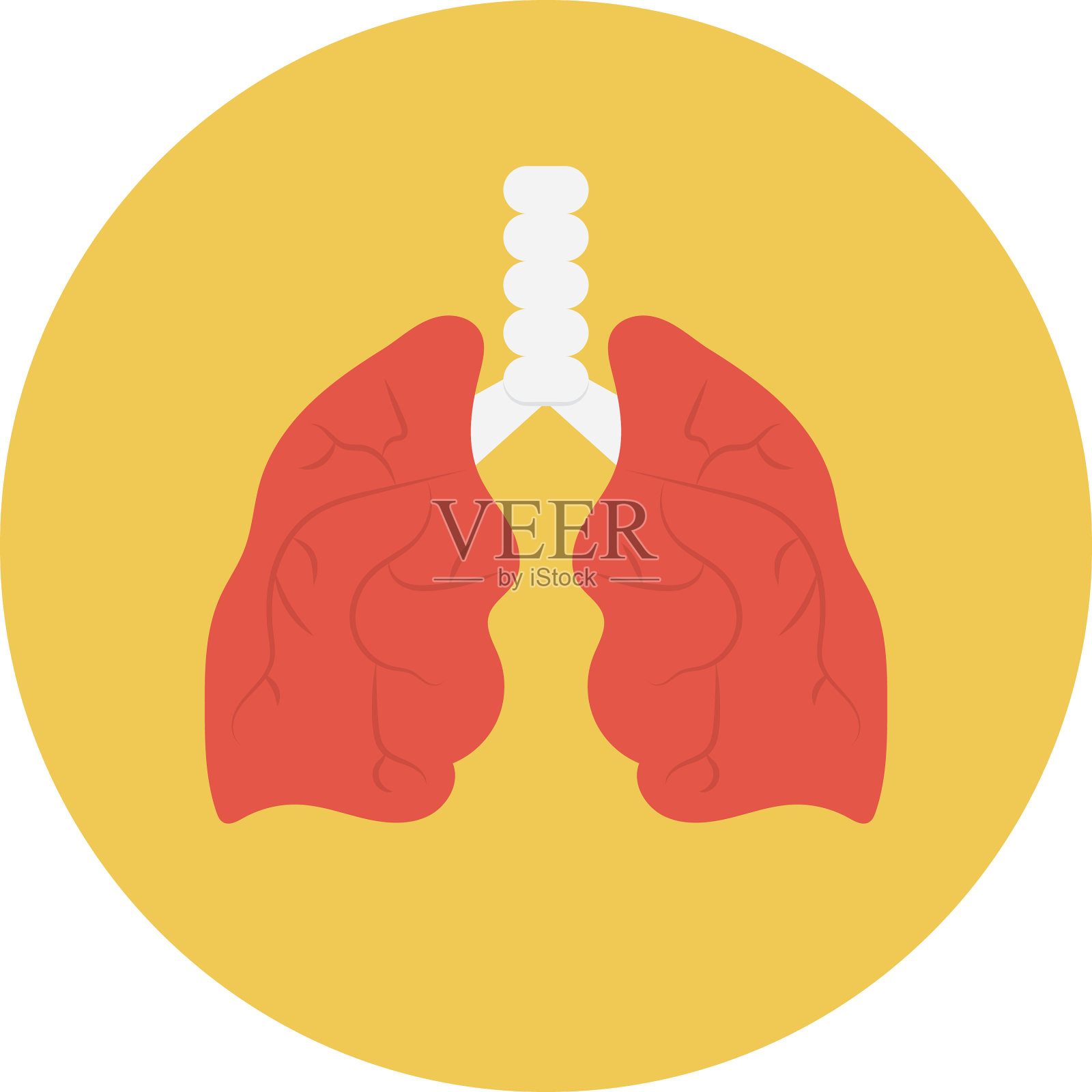 身体插画图片素材