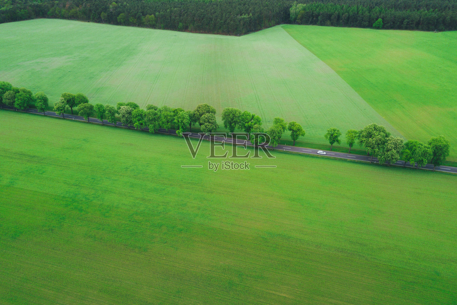 路穿过绿油油的牧场，被树木覆盖照片摄影图片