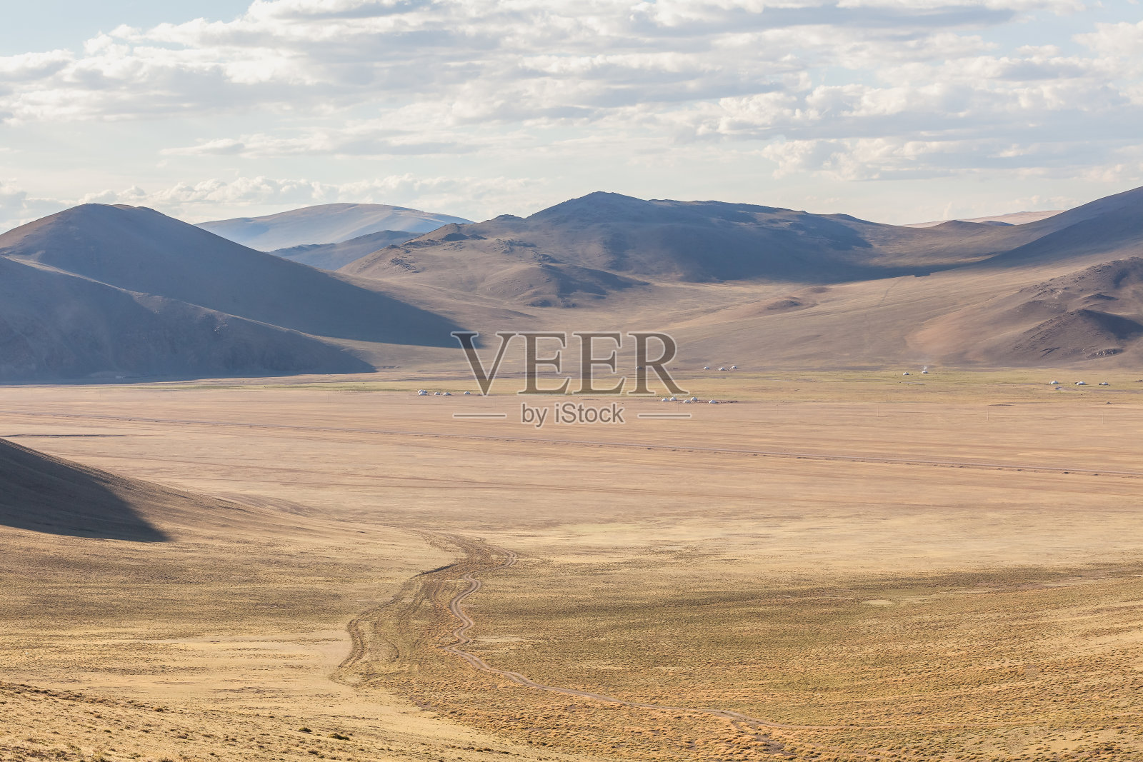 绵羊在蒙古草原，阿尔泰照片摄影图片