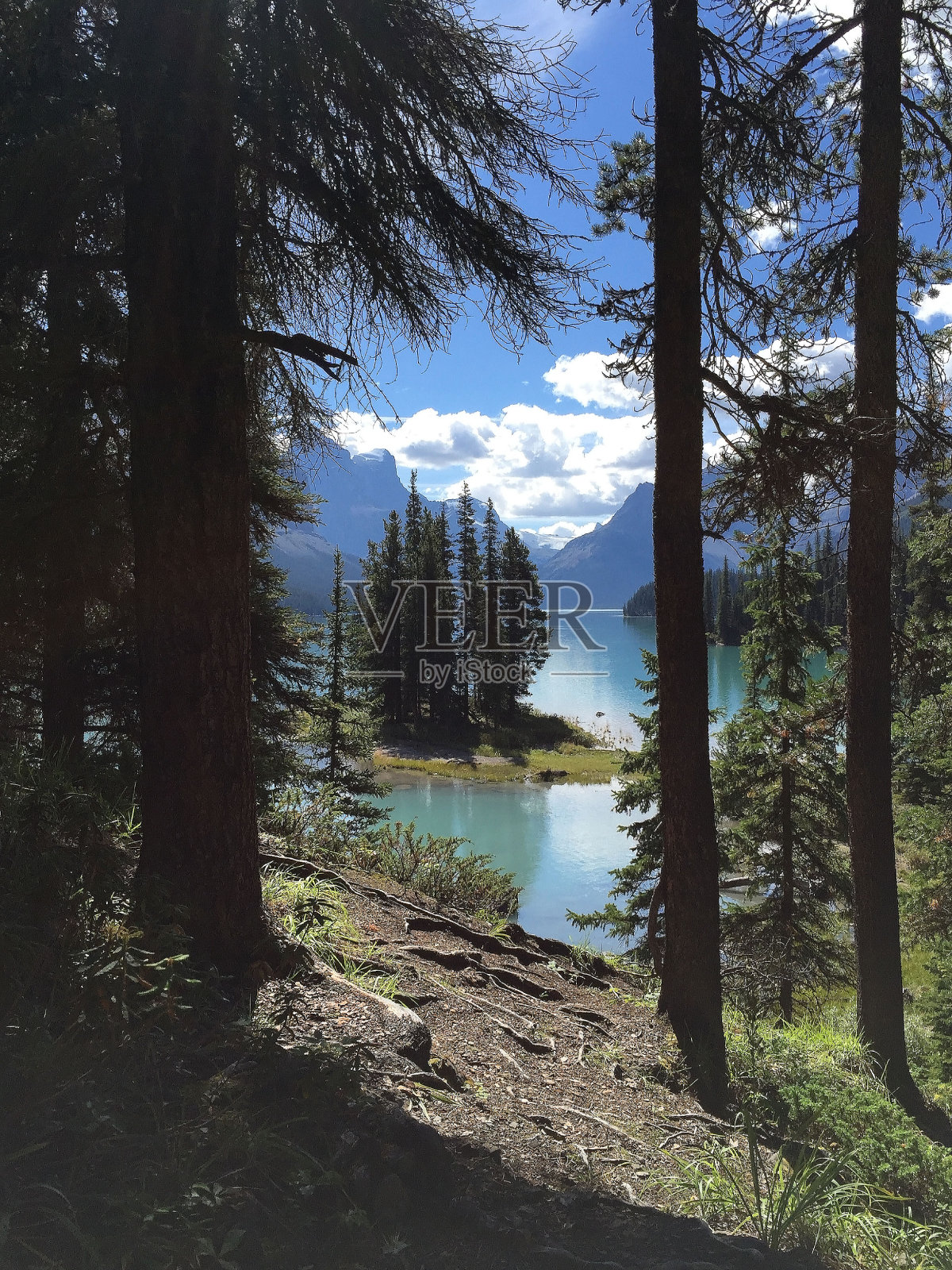 穿过森林看到的灵岛照片摄影图片