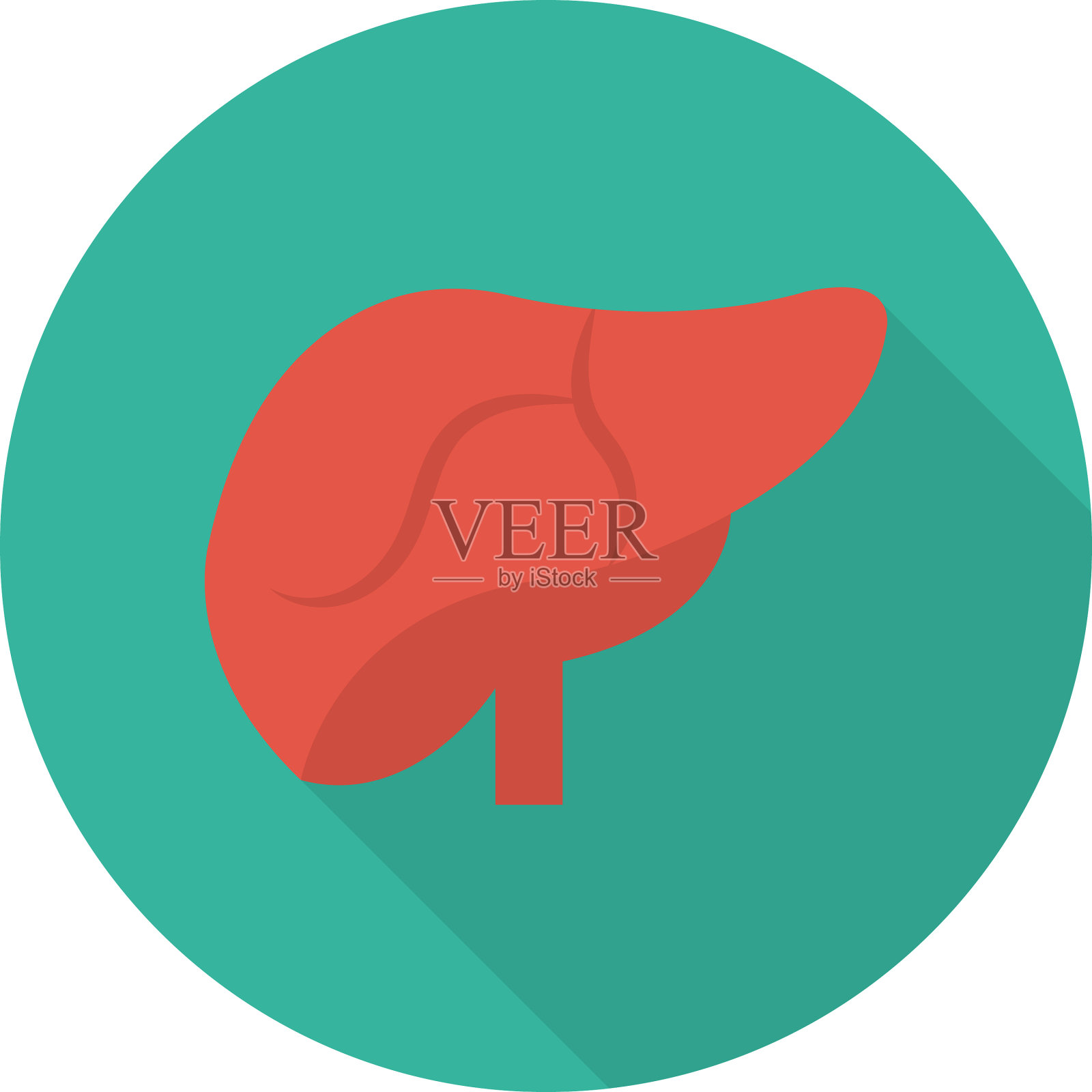 身体插画图片素材