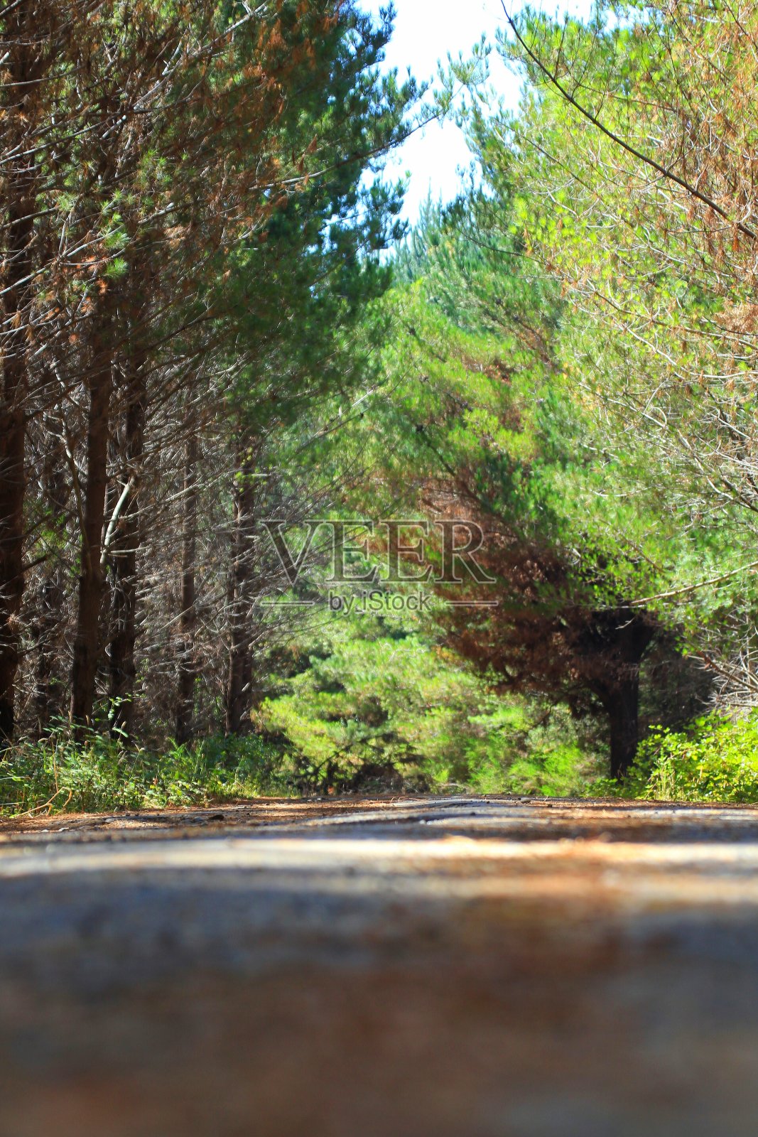 路在智利照片摄影图片