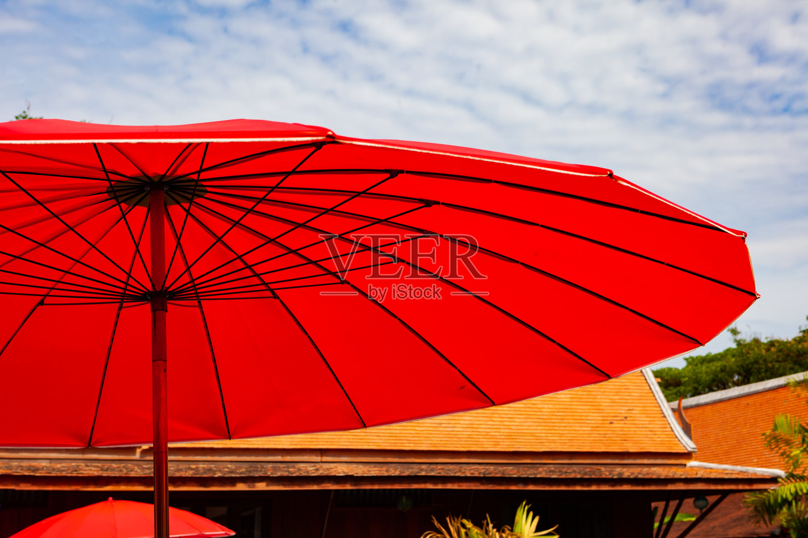 红色的伞照片摄影图片