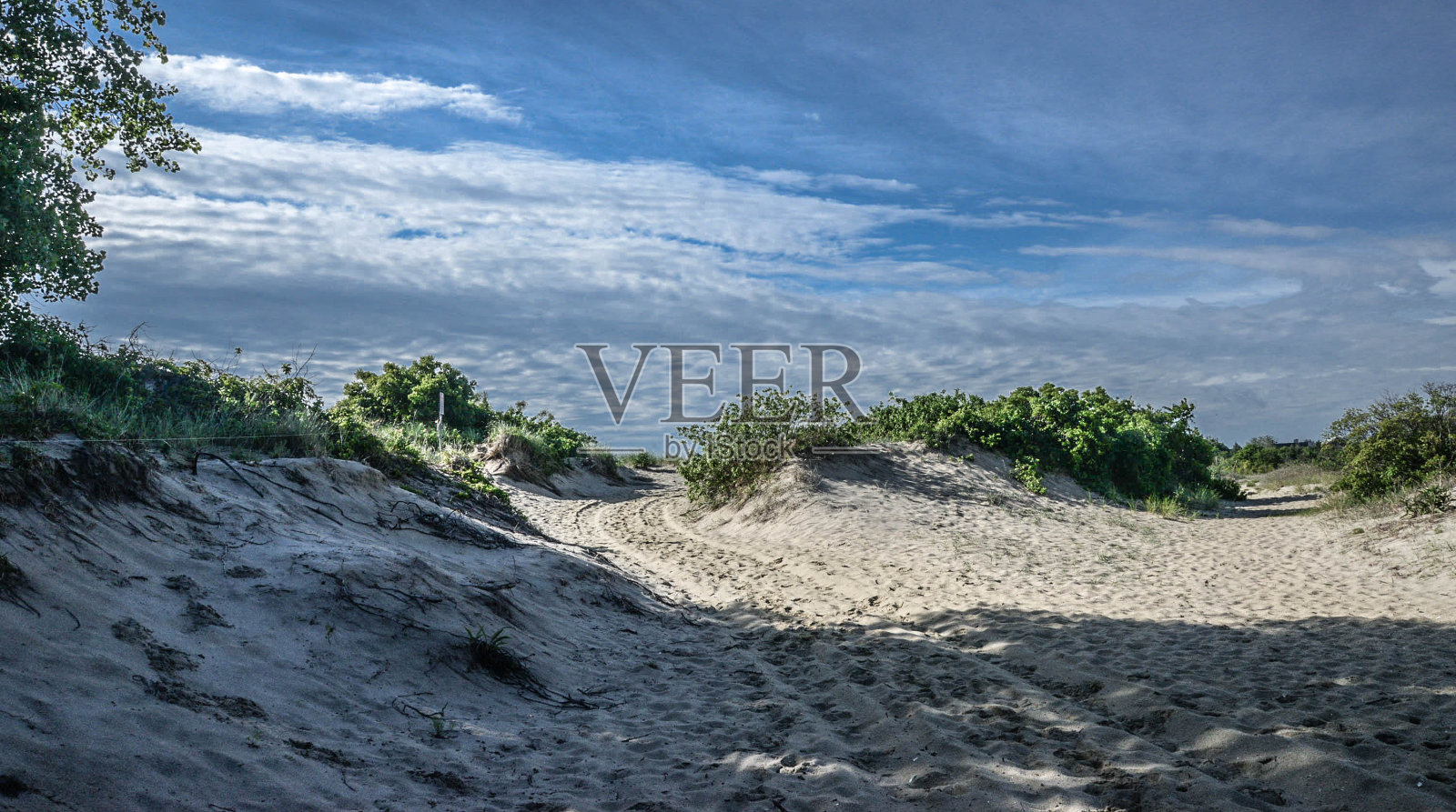 桑迪沙丘照片摄影图片