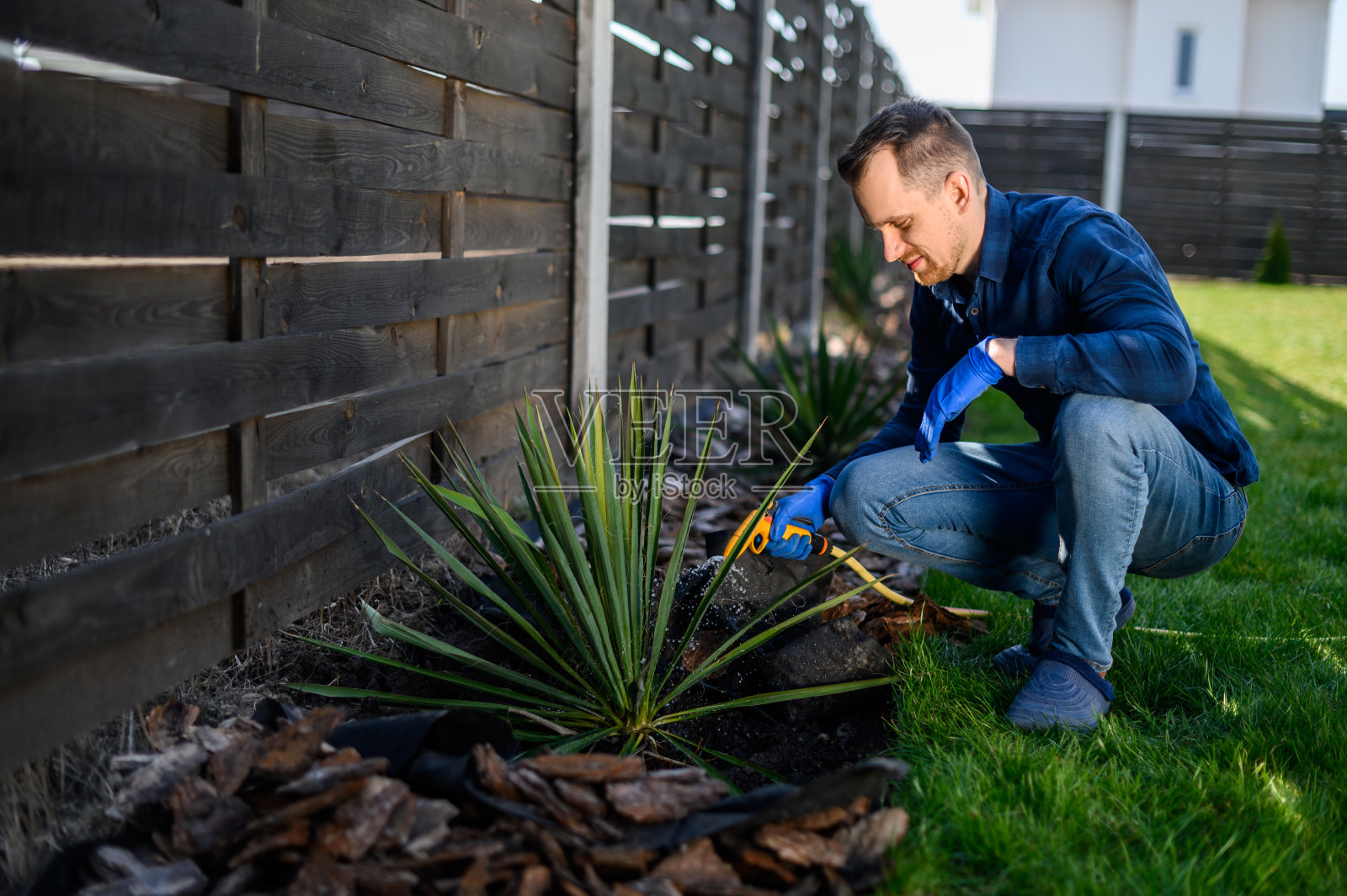 一个园丁在种灌木照片摄影图片