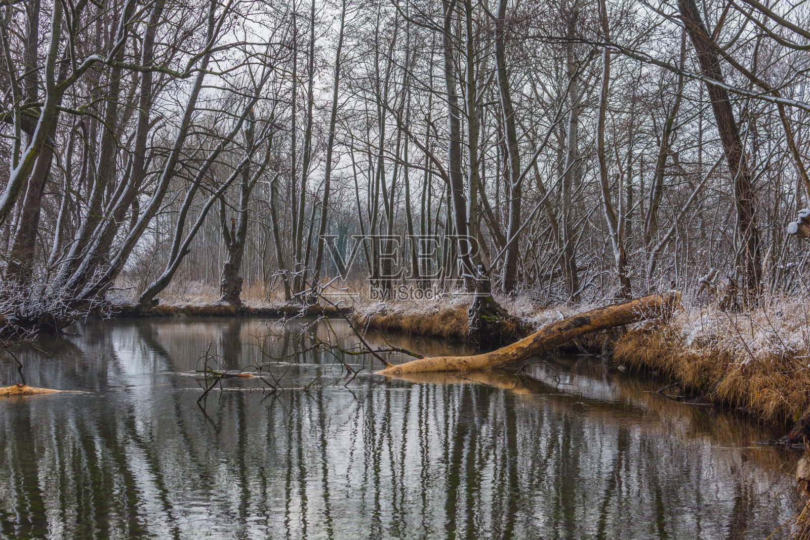 冬天安静的巴赫照片摄影图片