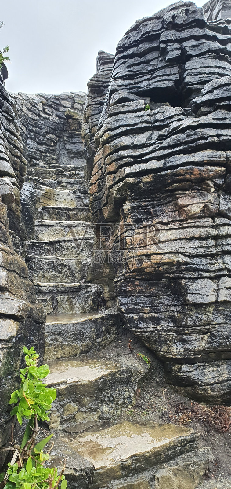 狭窄的楼梯在薄饼岩石，靠近狐狸冰川，在新西兰的热门旅游目的地照片摄影图片