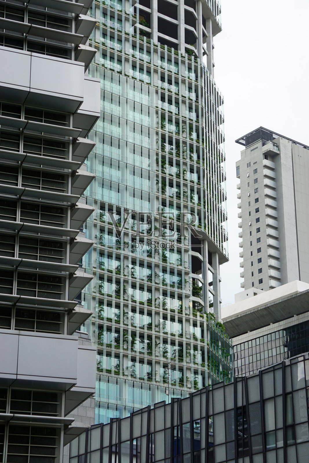 亚洲照片摄影图片