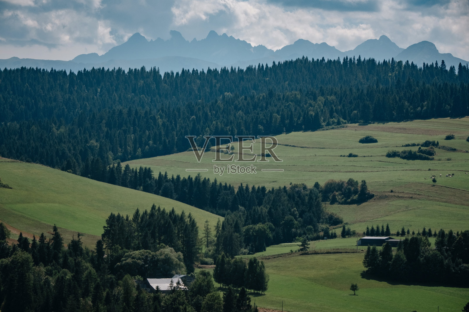 草原风光景观以蓝天为概念。照片摄影图片