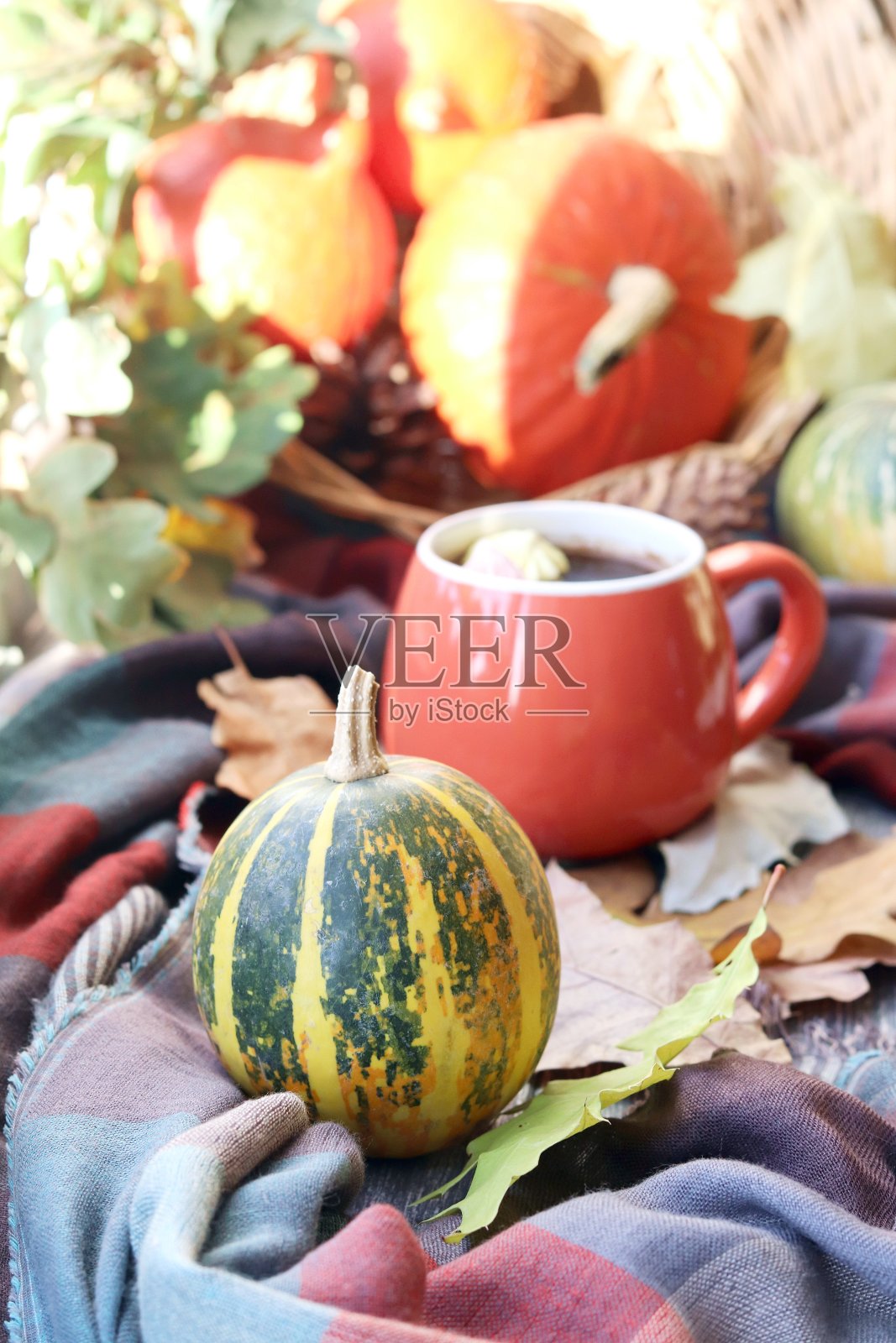 一杯热饮，浆果，南瓜，香料，一条围巾，窗外的秋叶背景照片摄影图片