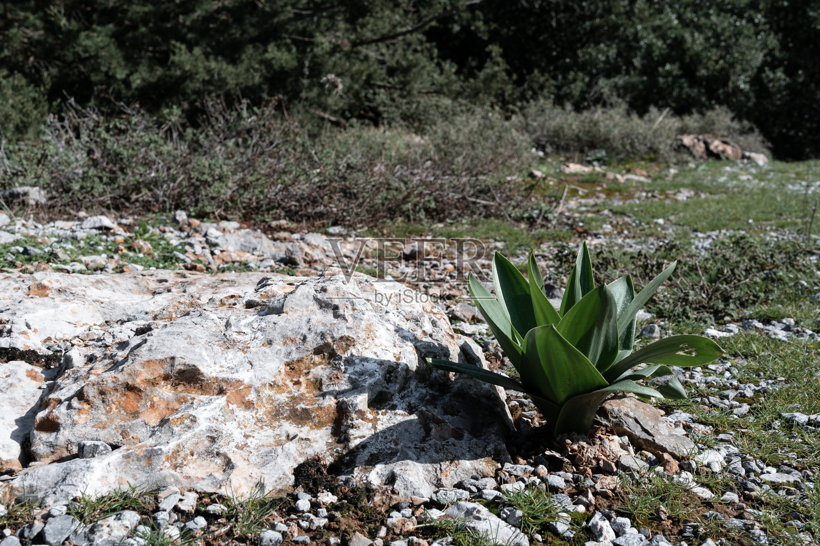 从高处俯瞰希腊村庄照片摄影图片