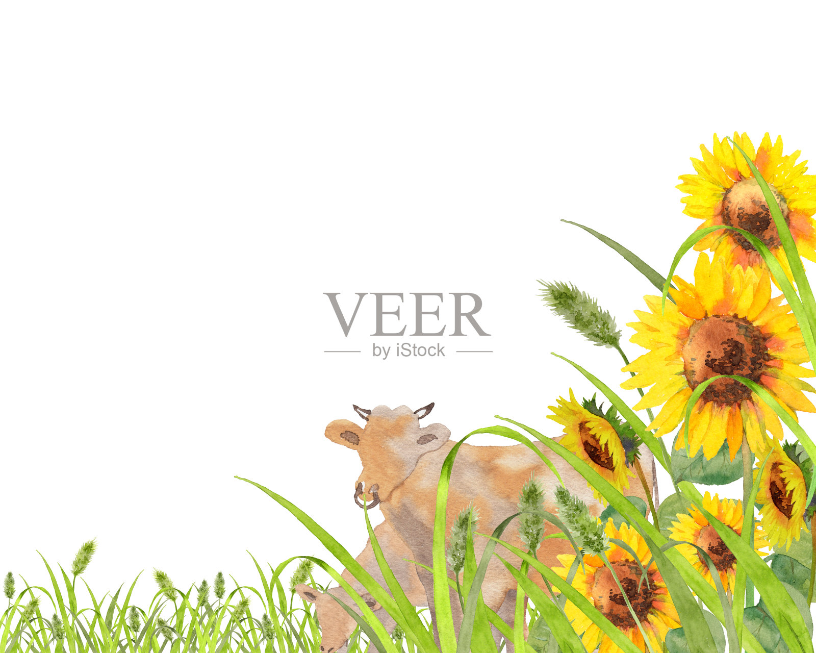 向日葵和牛插画图片素材