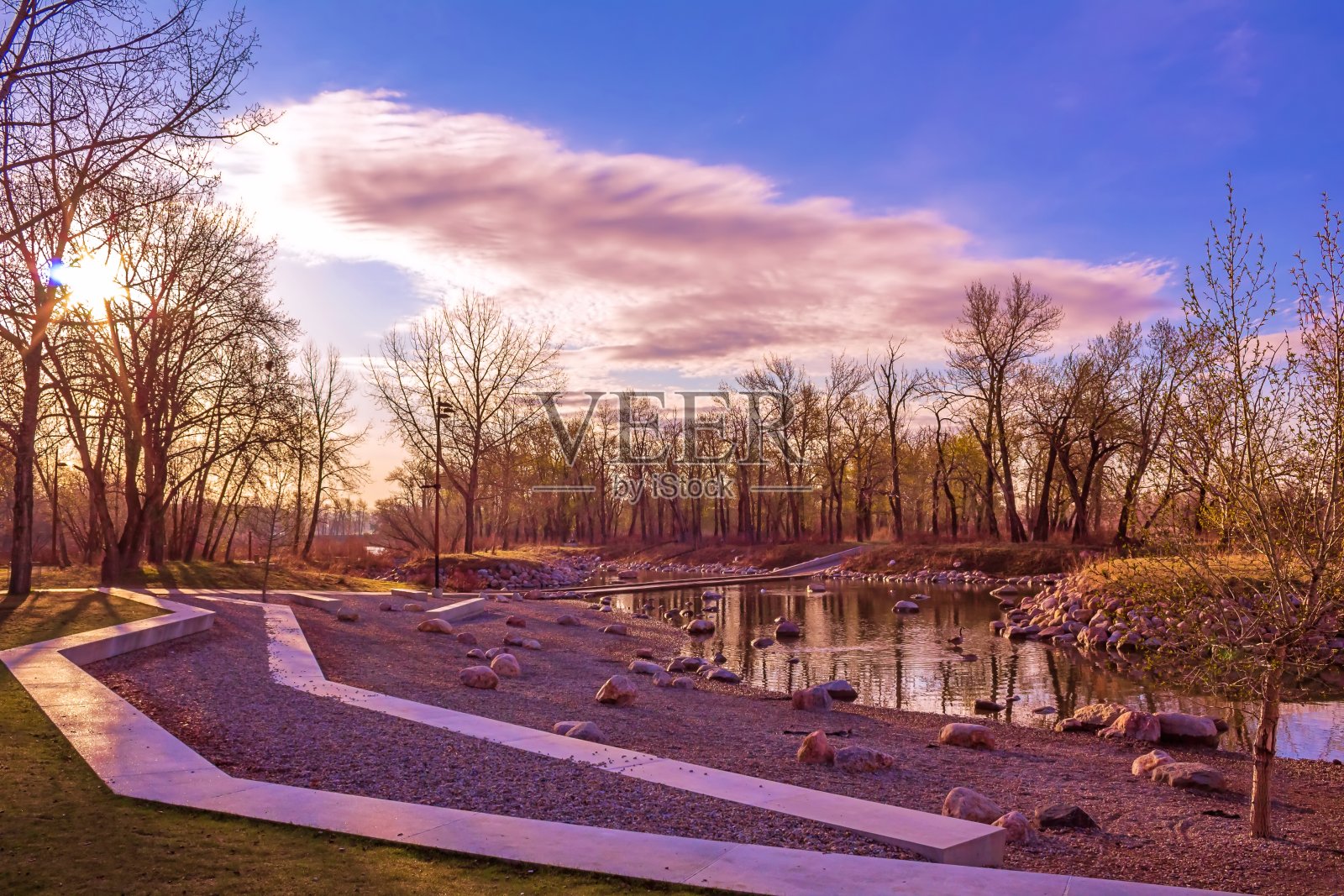 阳光照耀着春天的公园照片摄影图片