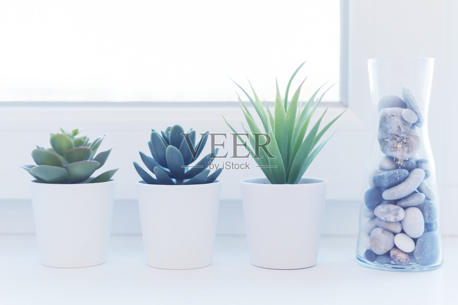 窗台上摆放着室内的小花，白色的花盆和插着海石的花瓶。室内和家居舒适的概念。照片摄影图片