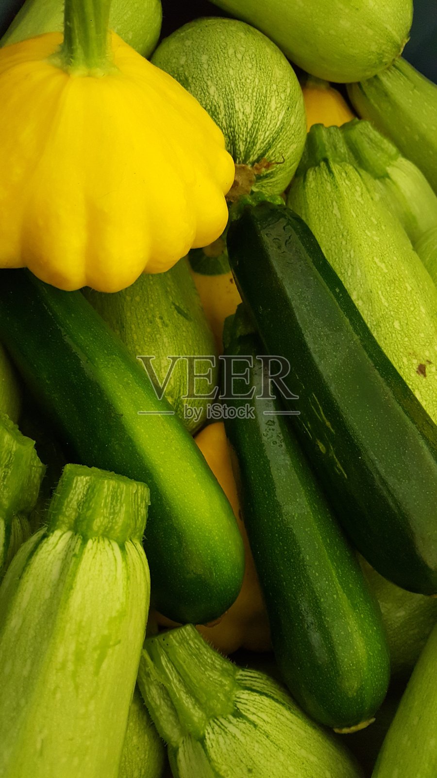 西葫芦照片摄影图片