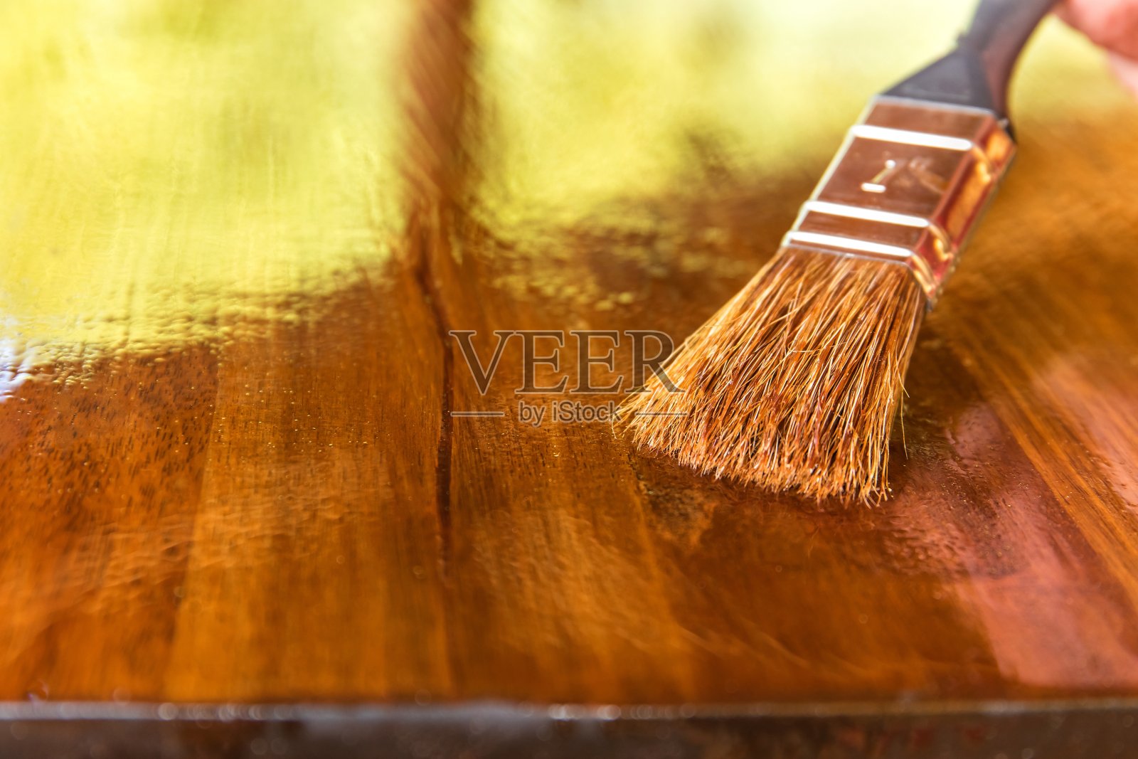 在木制家具上涂保护油。给皂荚木的桌面上漆。画笔的特写视图。做家务。照片摄影图片