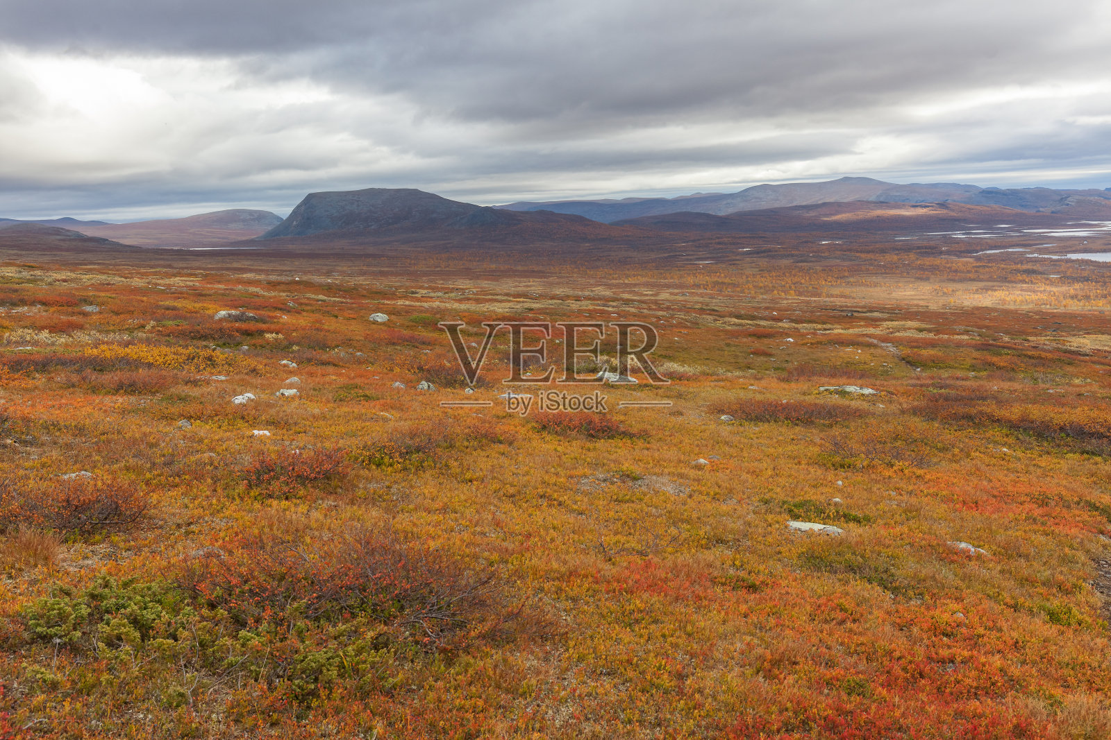 秋日瑞典沙瑞克国家公园，选择性聚焦照片摄影图片