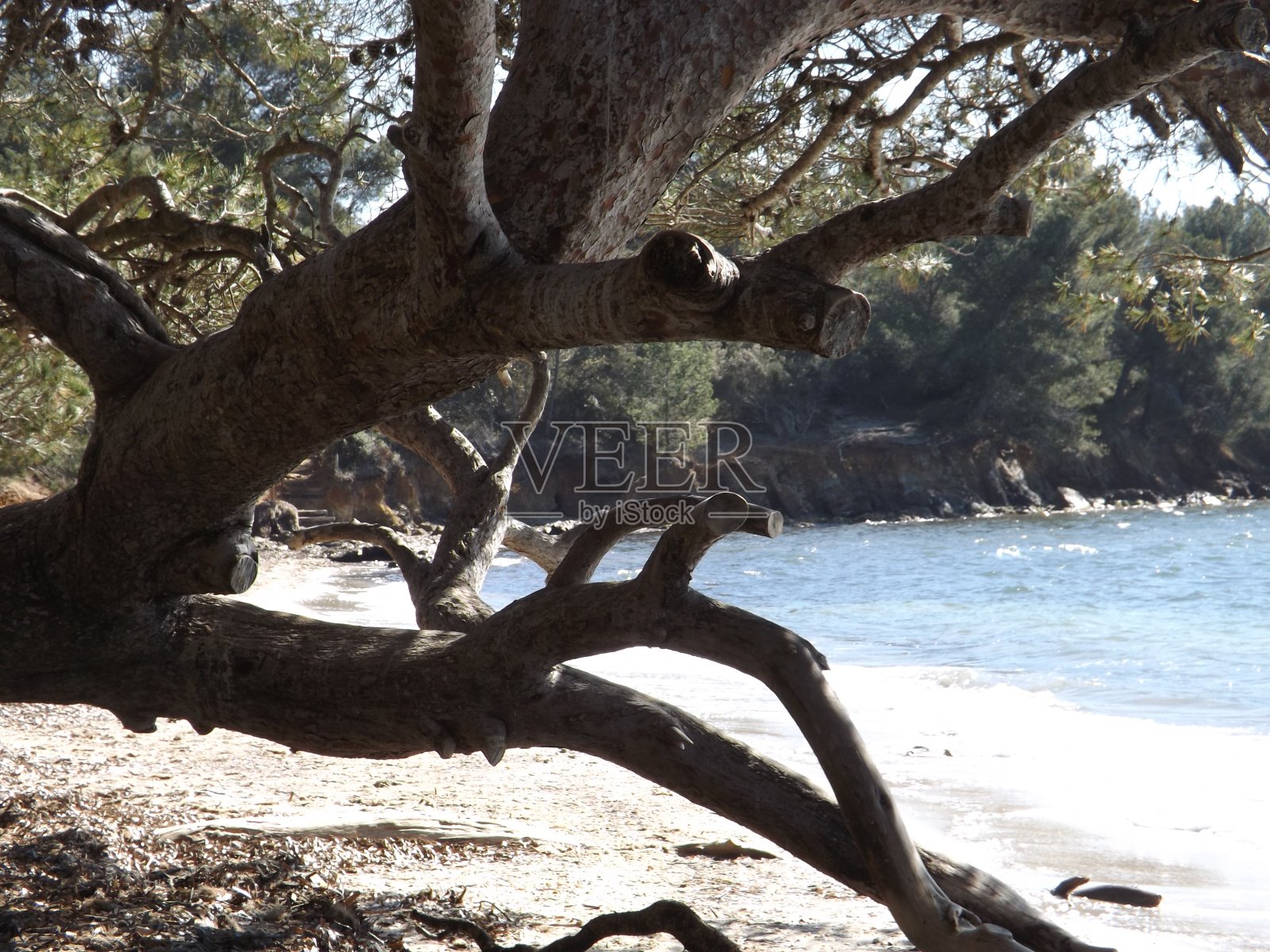 Cô调遣d 'Azur照片摄影图片