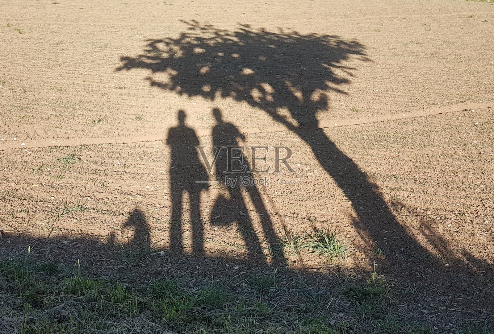 现代洞穴壁画《猴面包树下》照片摄影图片