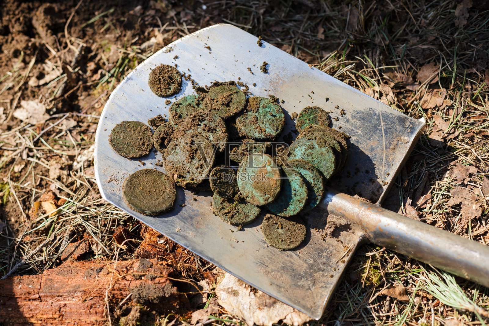 真金白银，用铁锹铲铜钱。照片摄影图片