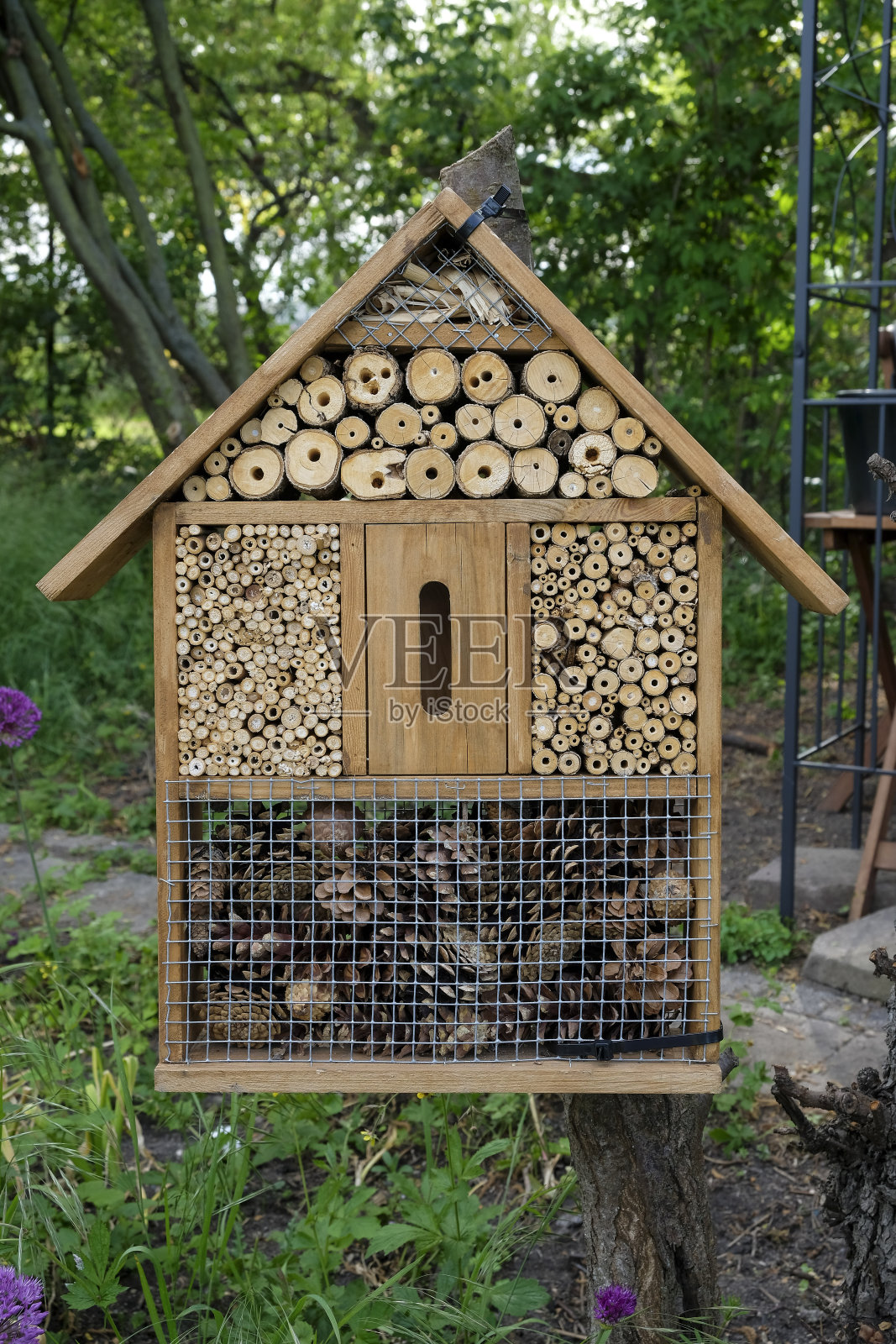 木制昆虫酒店以绿色为背景照片摄影图片