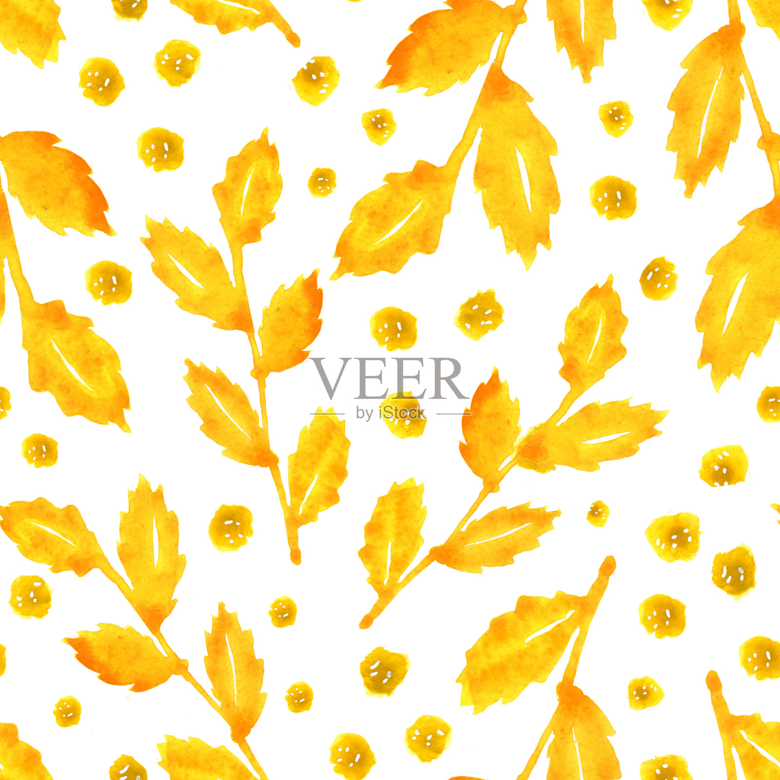 黄花、黄枝、黄叶的无缝图案。手水彩插图上的白色背景。设计面料，印刷，模板，包装，包装，纺织品，壁纸，祝贺。插画图片素材
