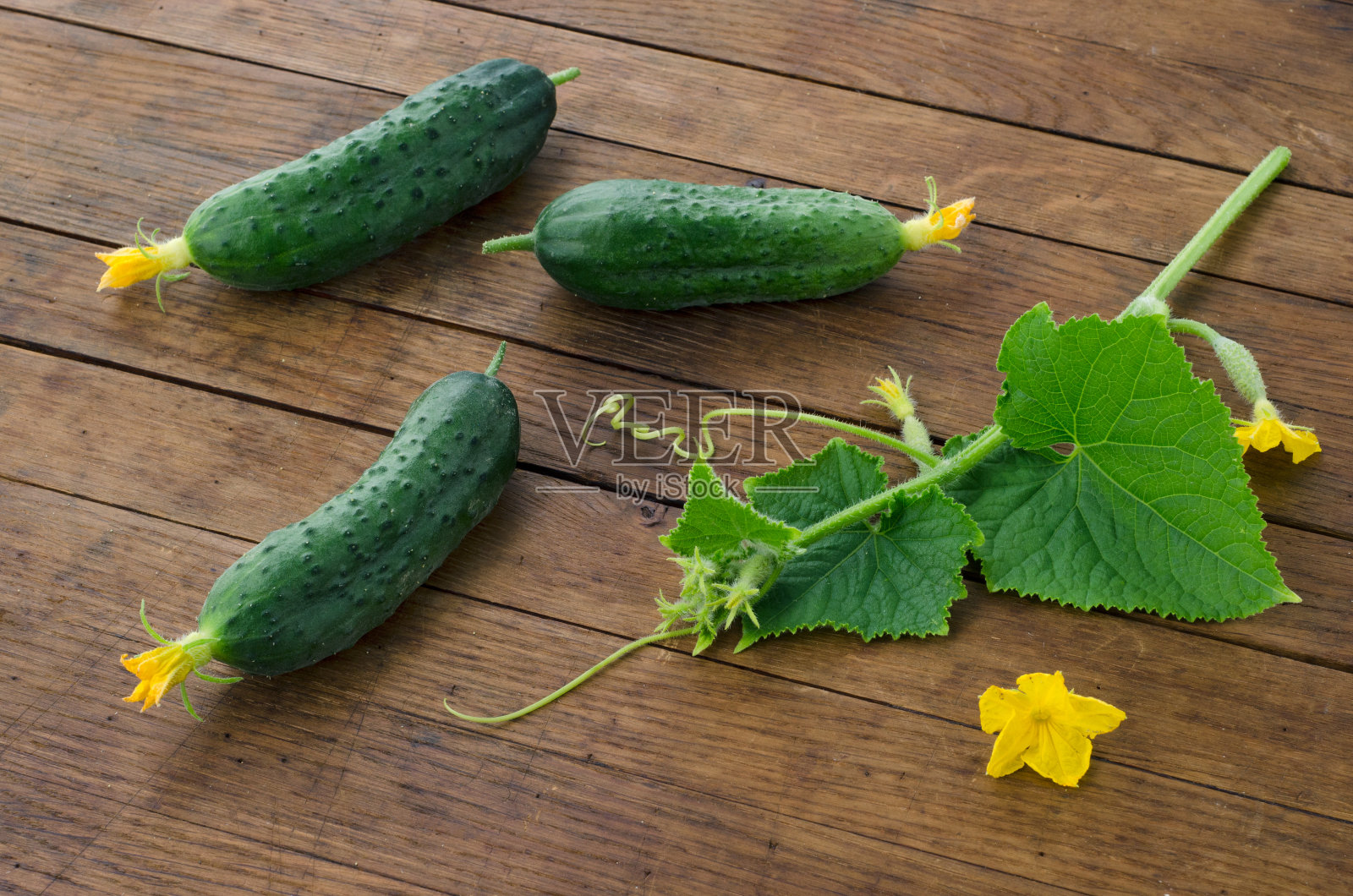 Сucumbers在木桌上照片摄影图片