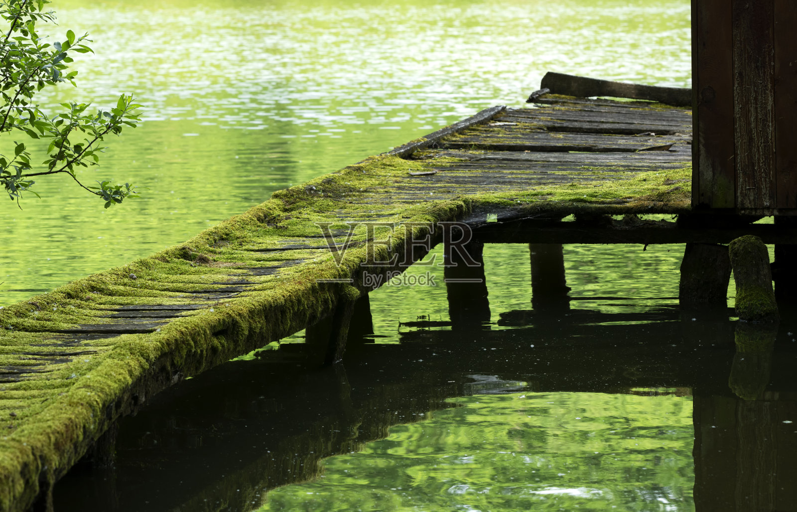 旧琵琶鱼码头照片摄影图片