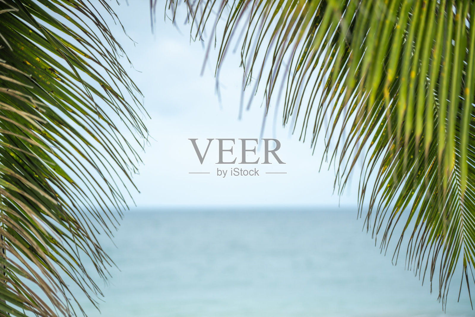 自然照片摄影图片