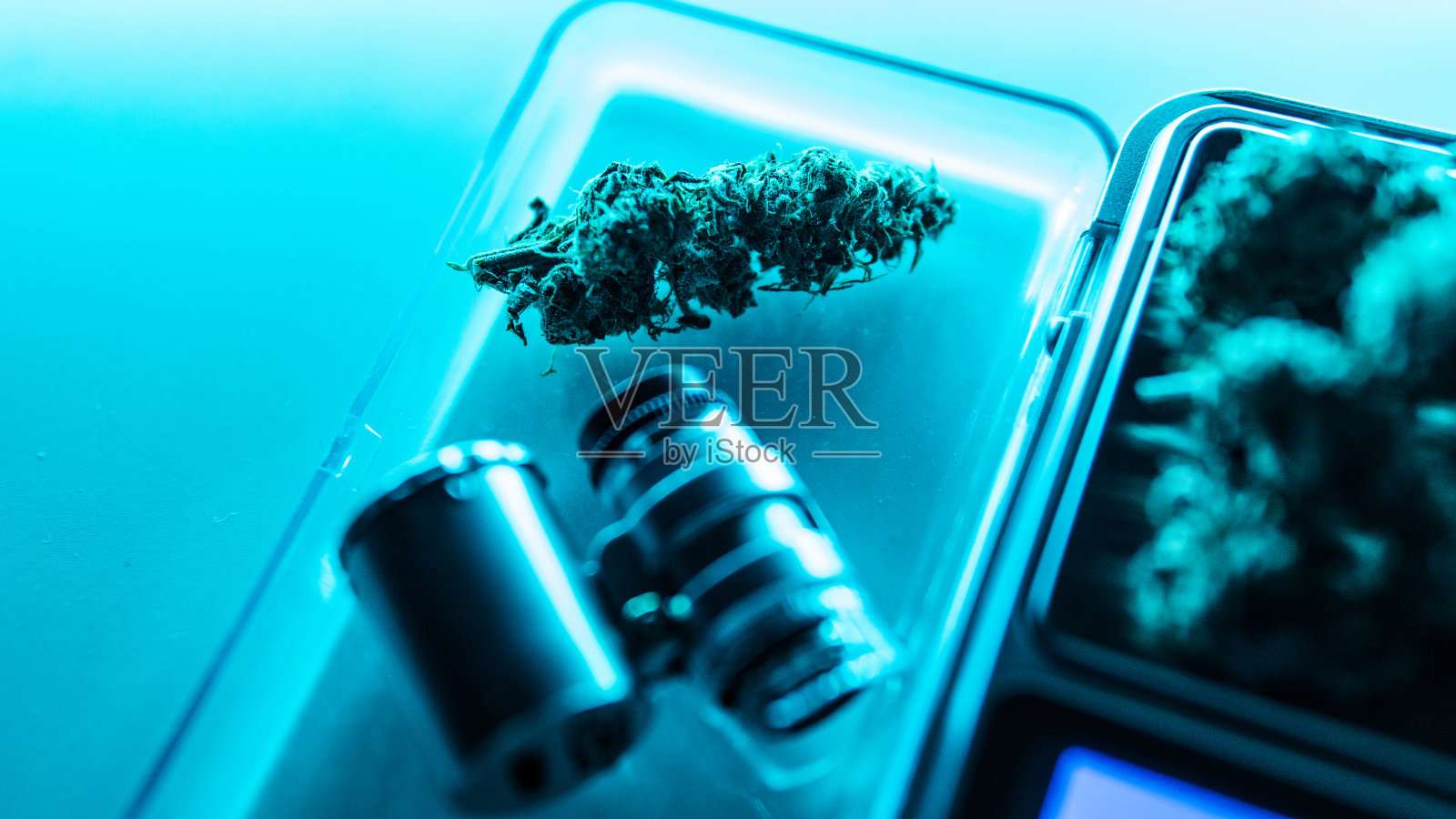 2020年的现代大麻品种。治疗尿毒症照片摄影图片