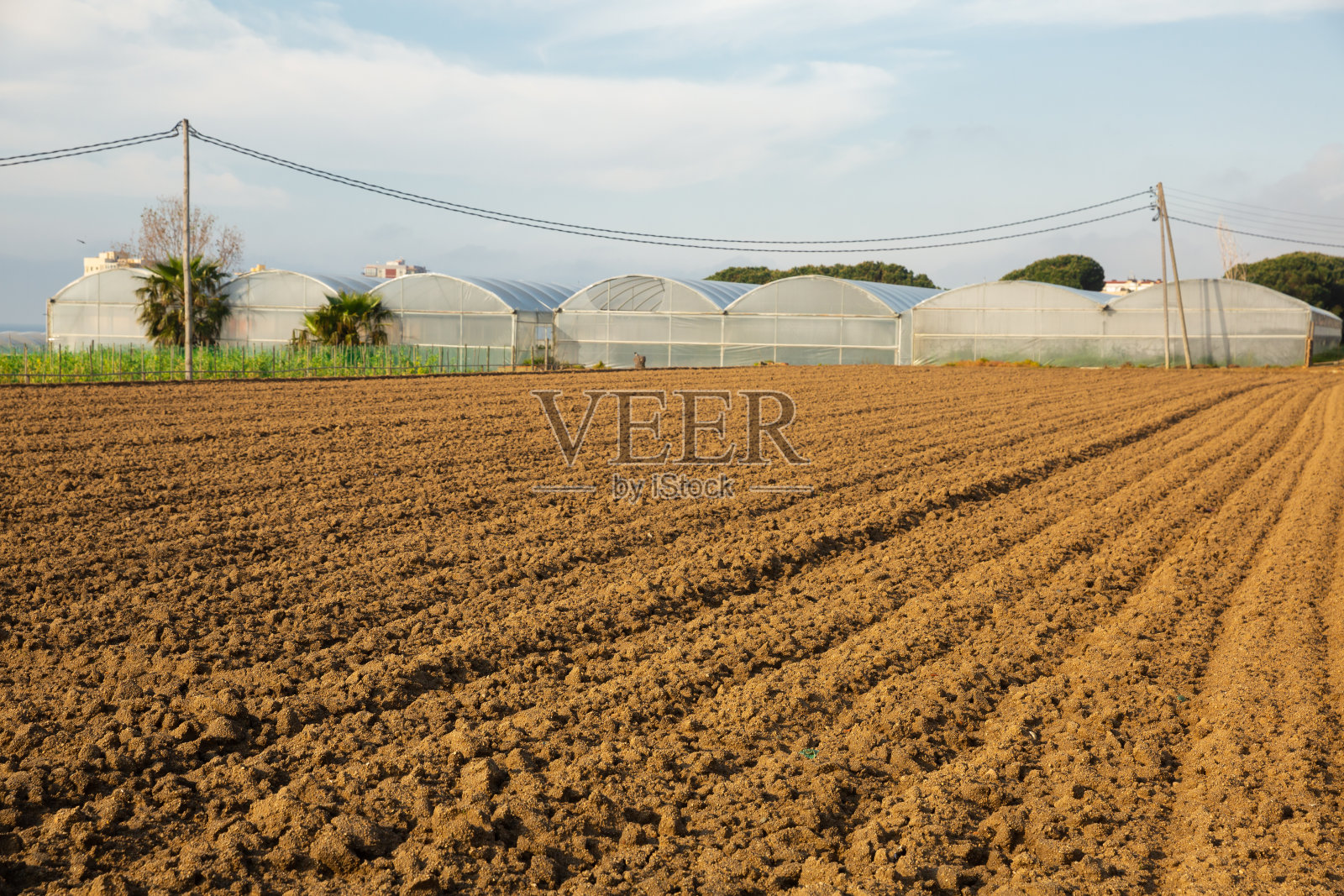 将农田照片摄影图片