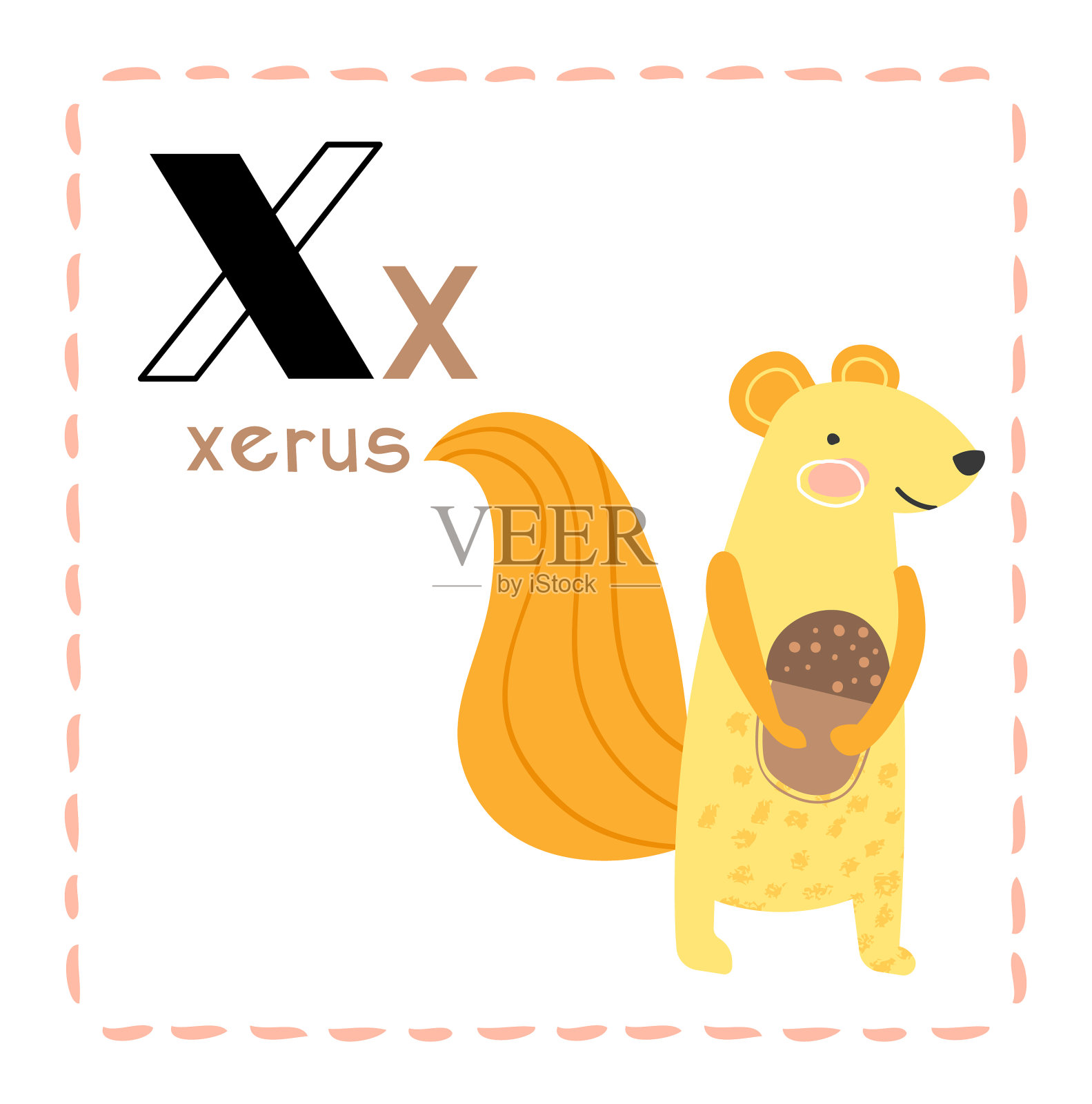 卡通字母x为xerus为教育插画图片素材