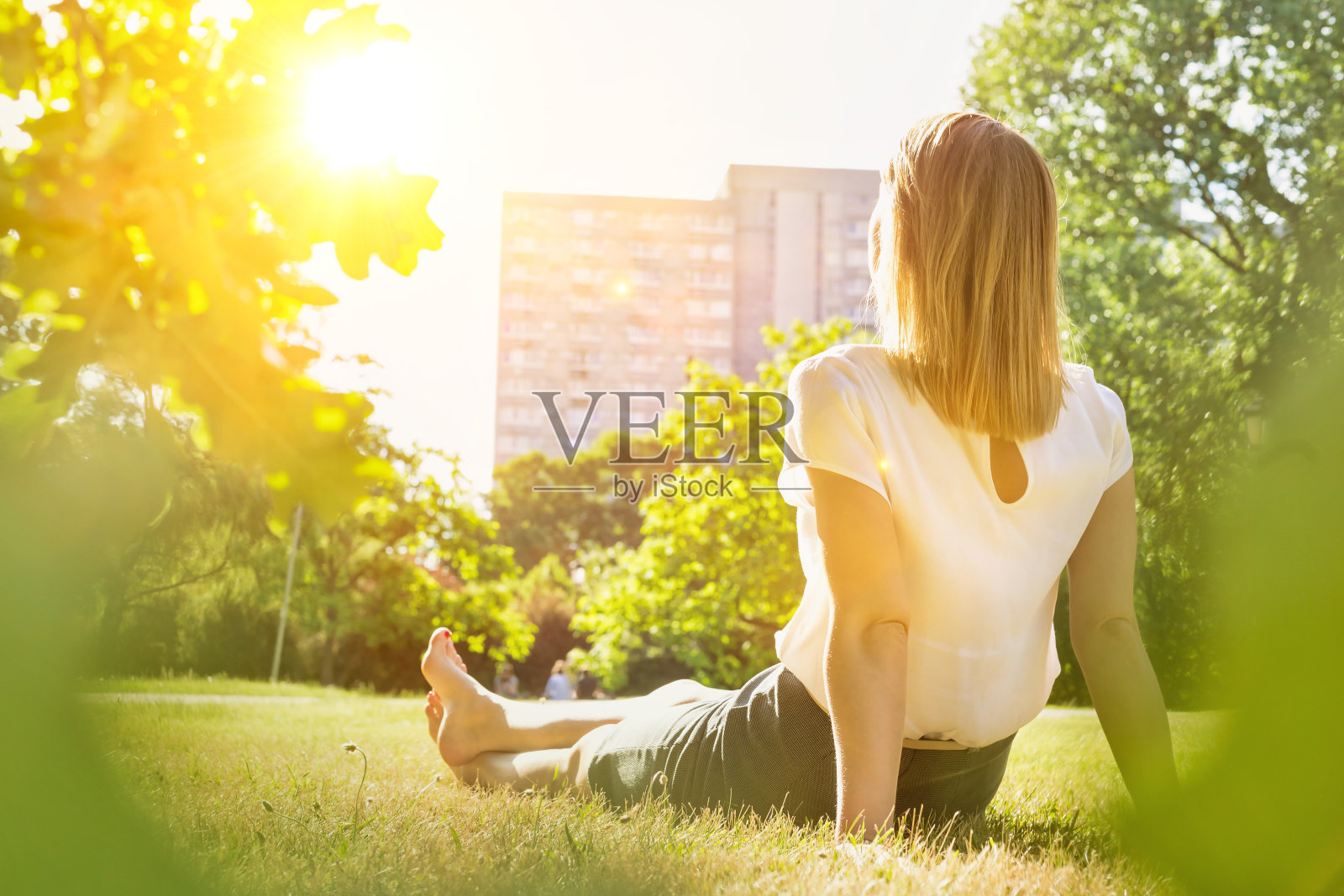 后视图年轻迷人的女商人坐在草地上看日落照片摄影图片
