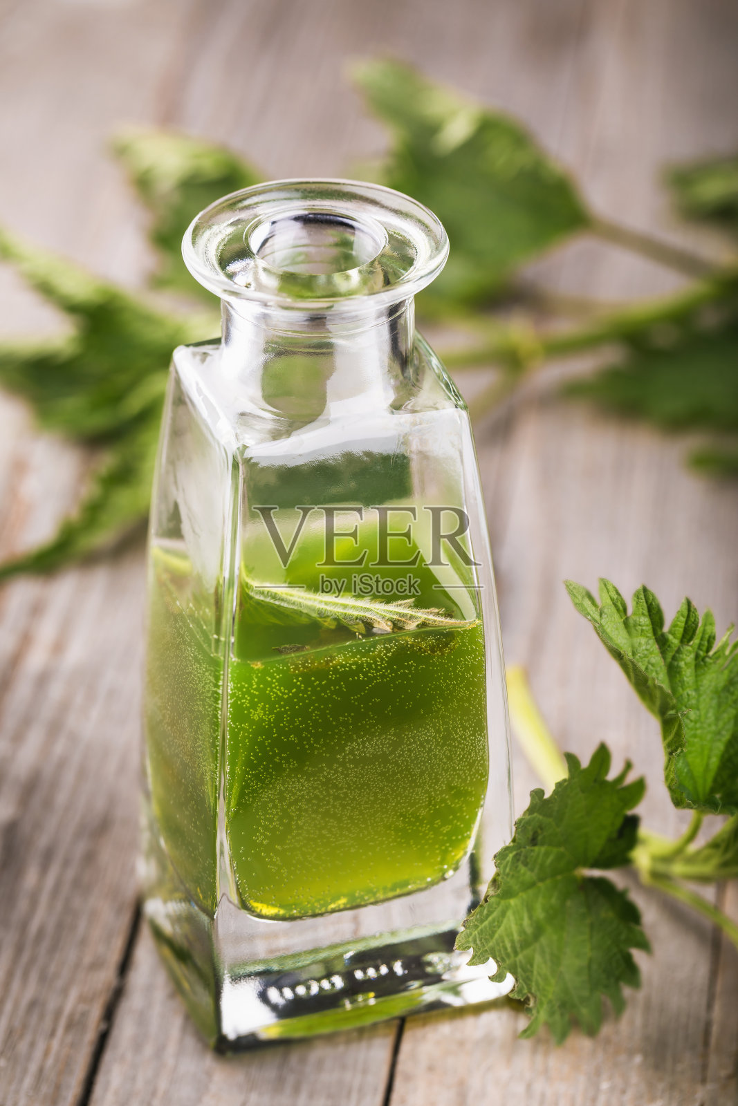 木桌上放着荨麻叶酒精酊。中药材的概念照片摄影图片