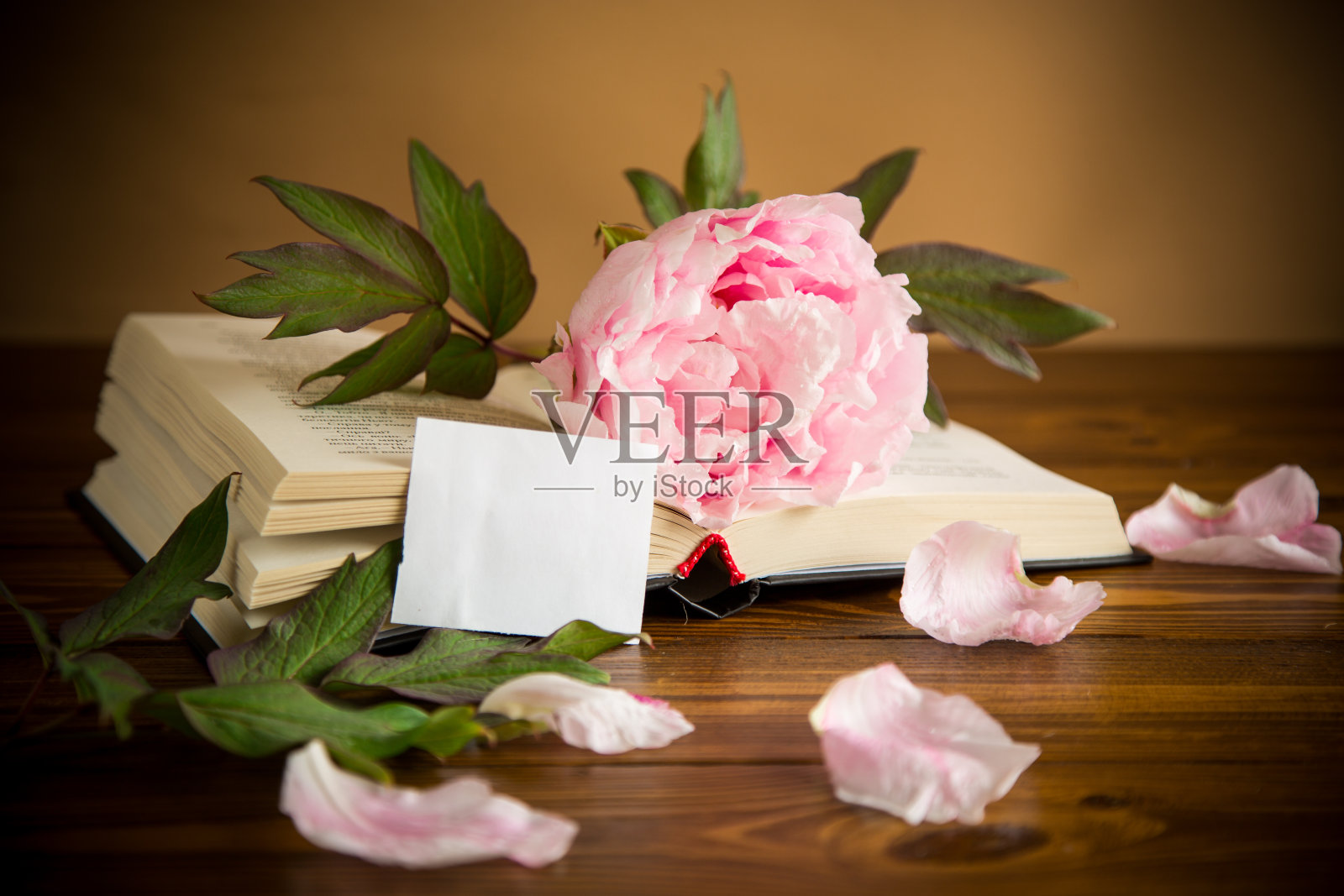 牡丹花粉红美，书空卡照片摄影图片