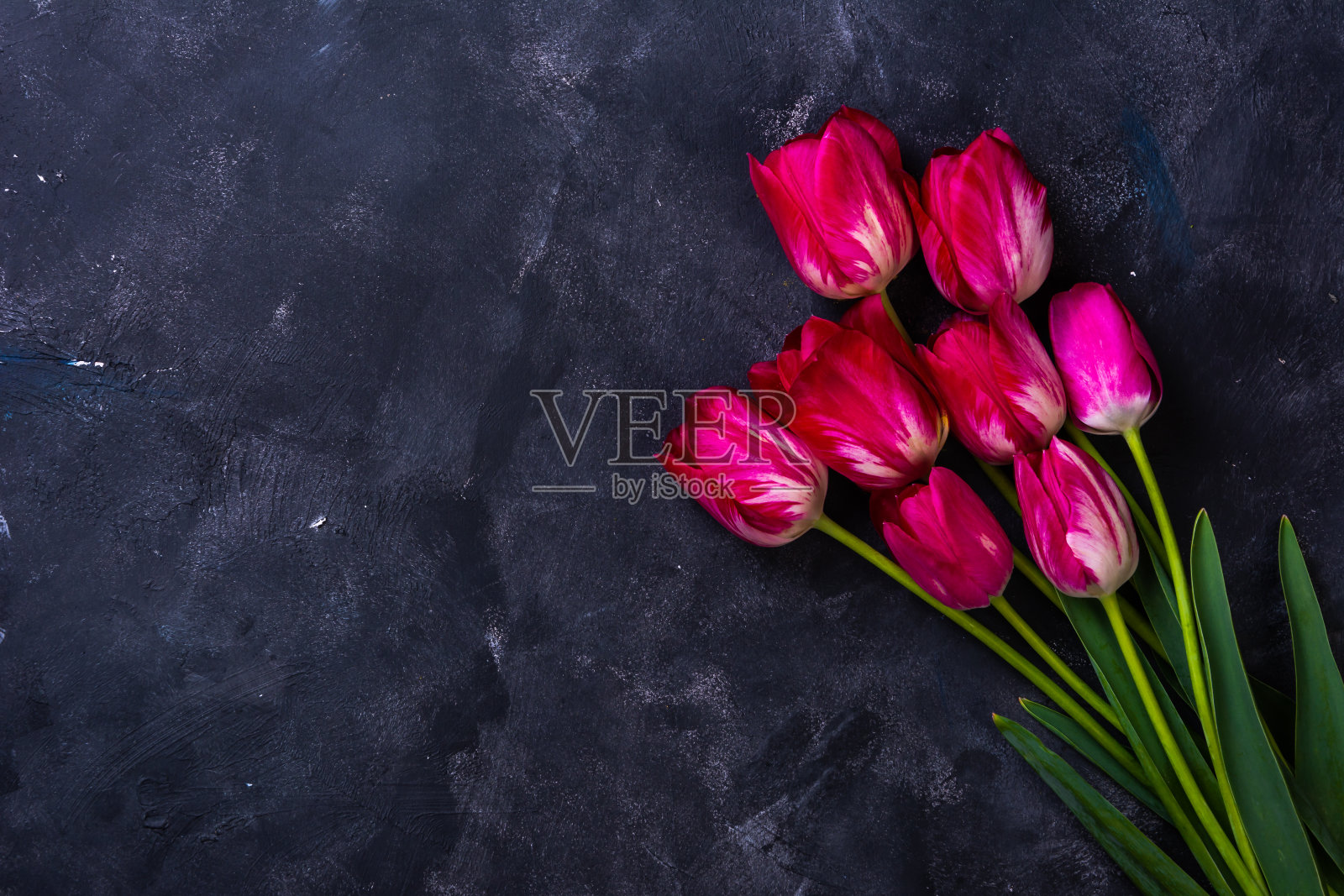 深灰色背景与郁金香照片摄影图片