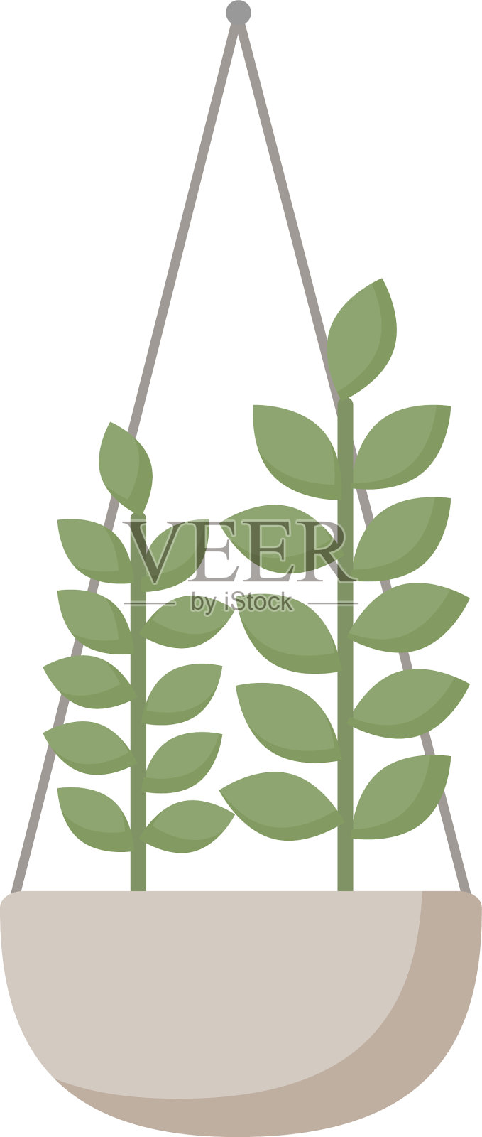 一种扁平的挂盆，上面有孤立的绿色植物设计元素图片