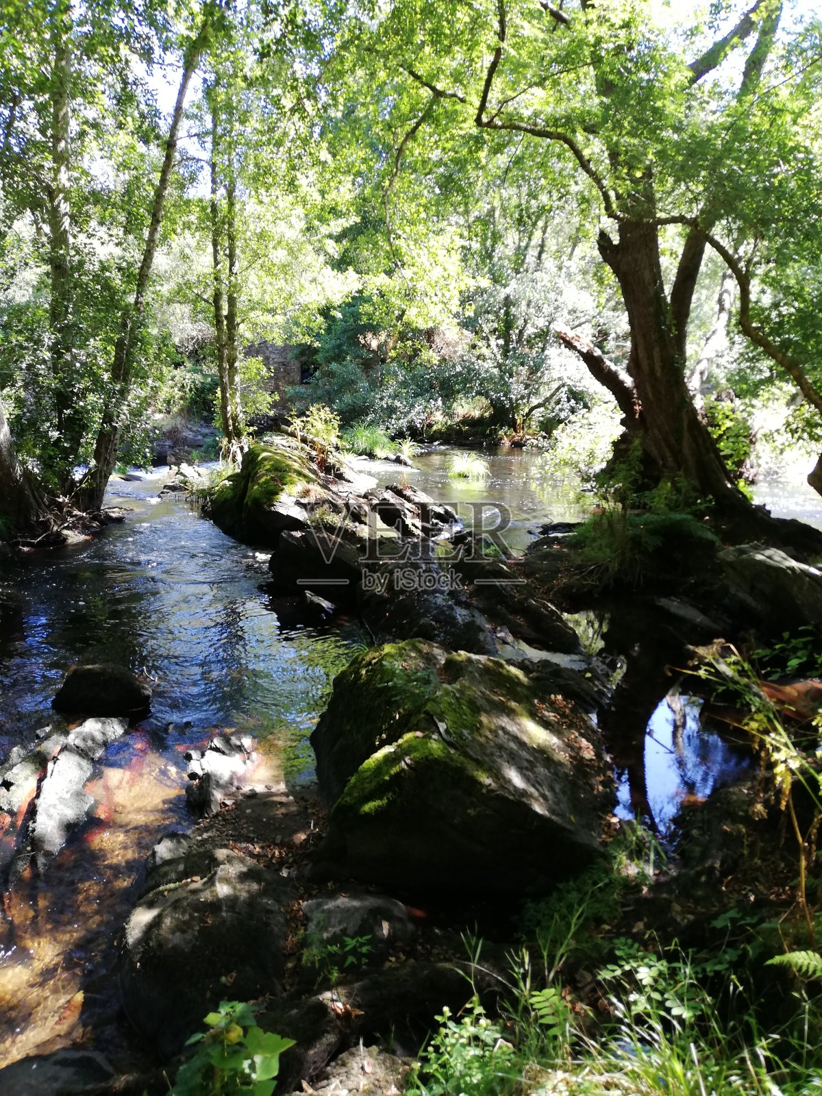 河照片摄影图片