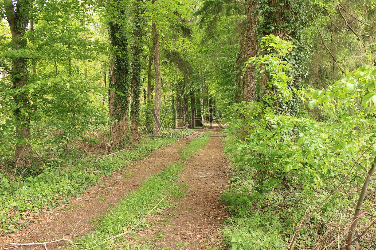 生活照片摄影图片