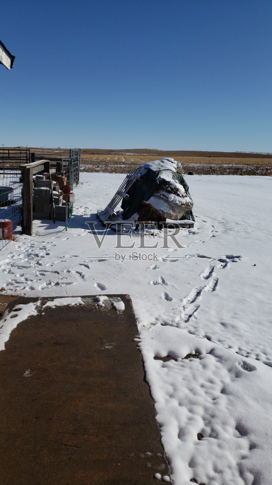 乡村生活照片摄影图片