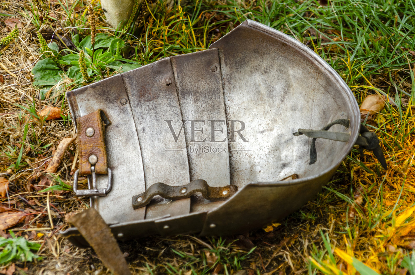 美丽的铁甲在地上照片摄影图片