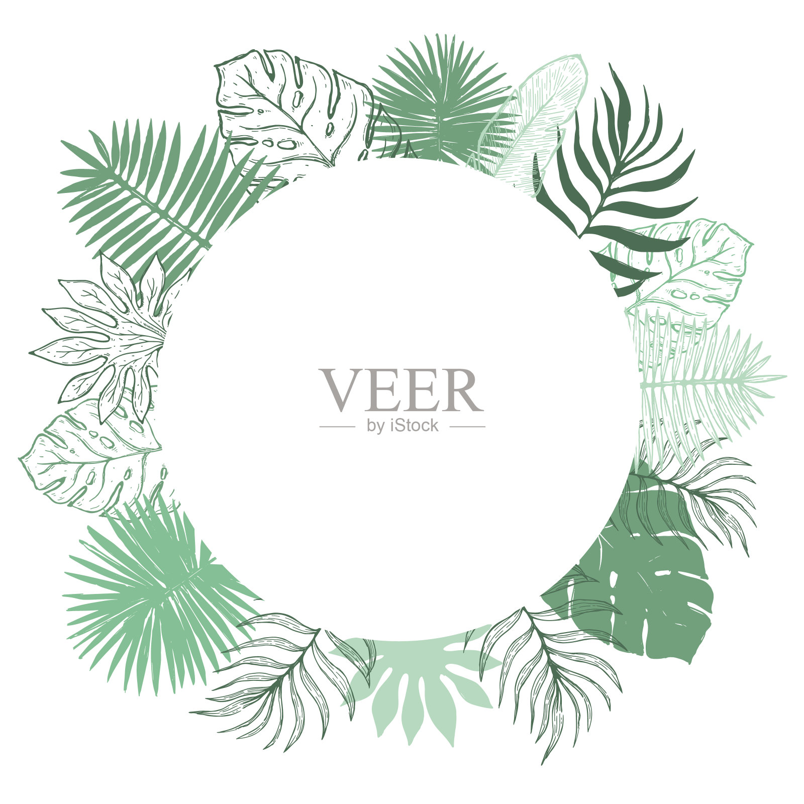 热带植物叶架。植物植物元素背景插画图片素材