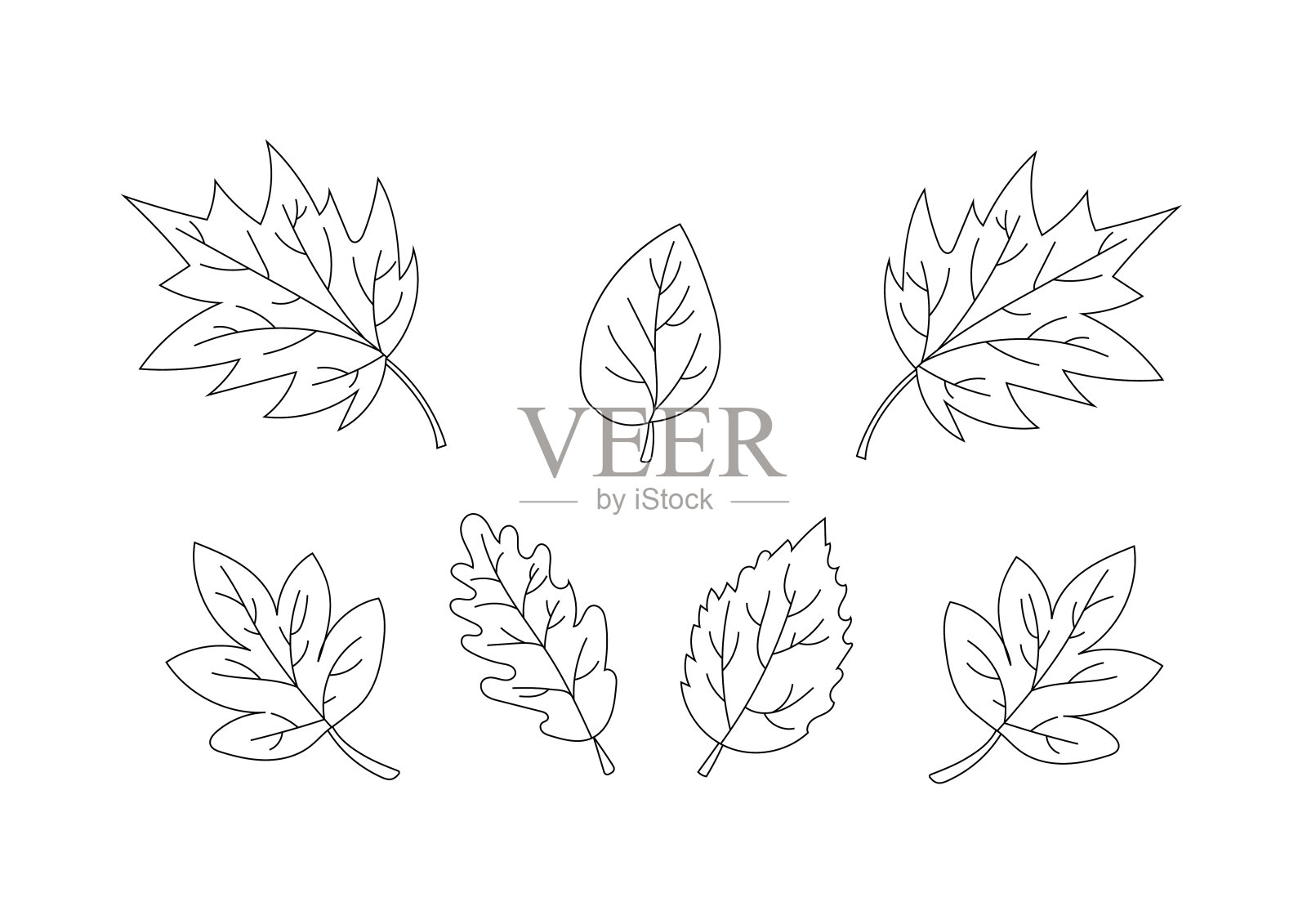 收集美丽的叶子。只有一行。向量设计元素图片