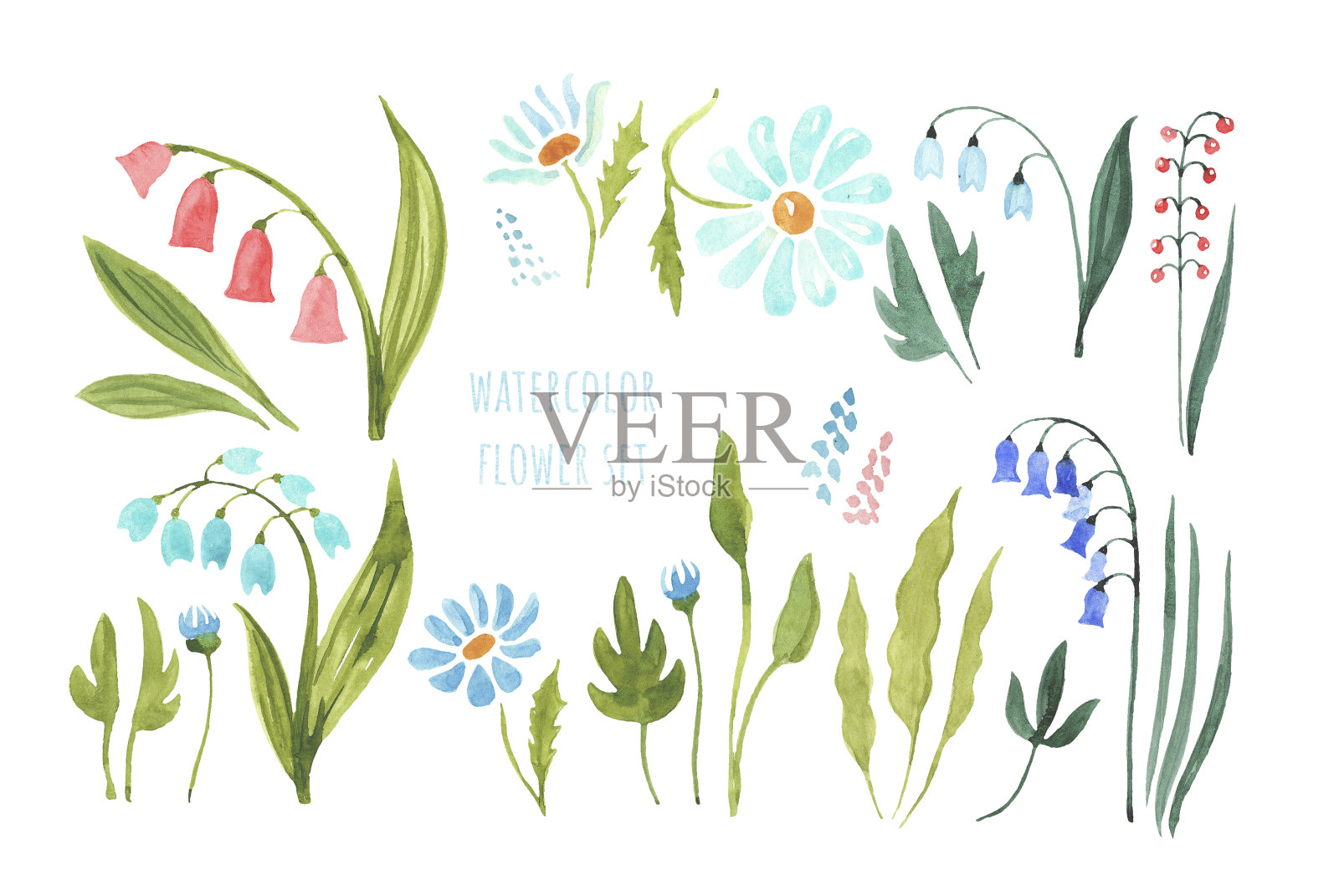 水彩野花设置孤立的白色背景。插画图片素材