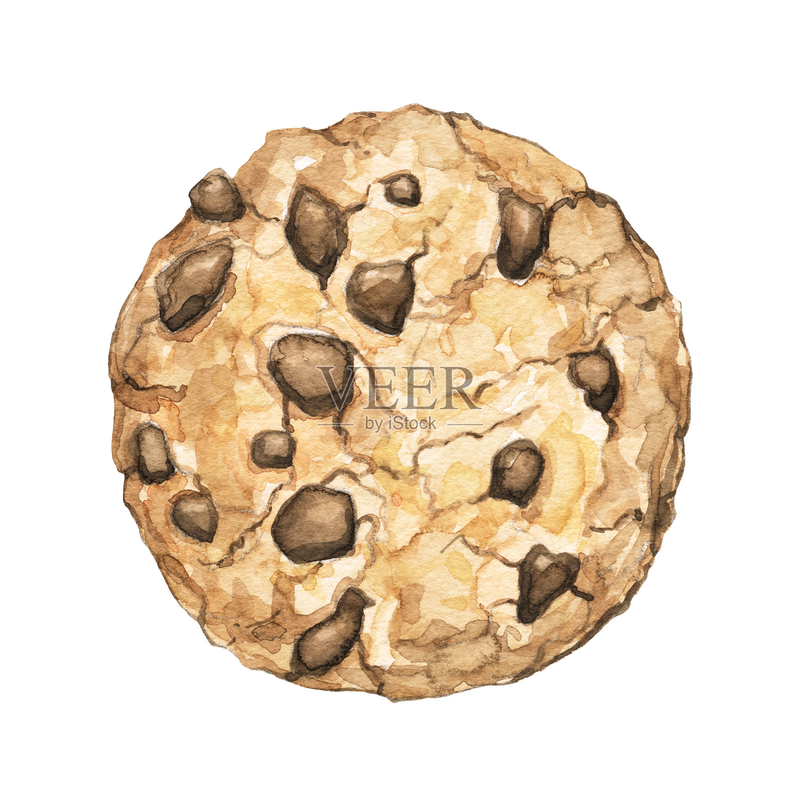 用水彩画一块巧克力饼干插画图片素材