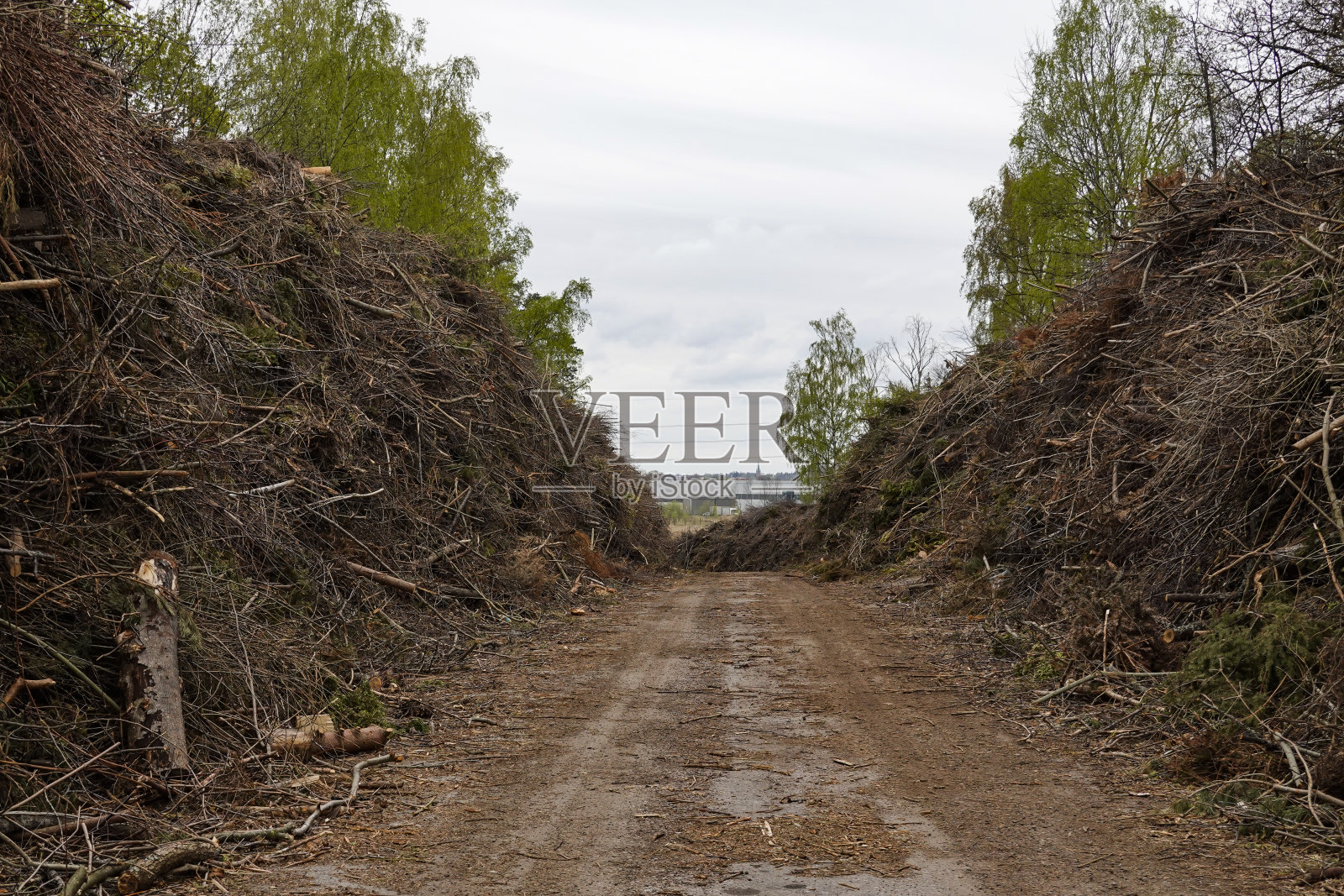 北雪平、瑞典照片摄影图片